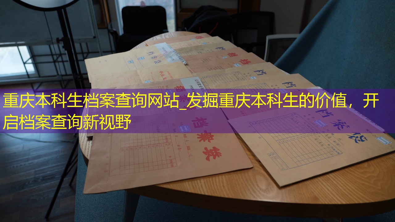 档案查询