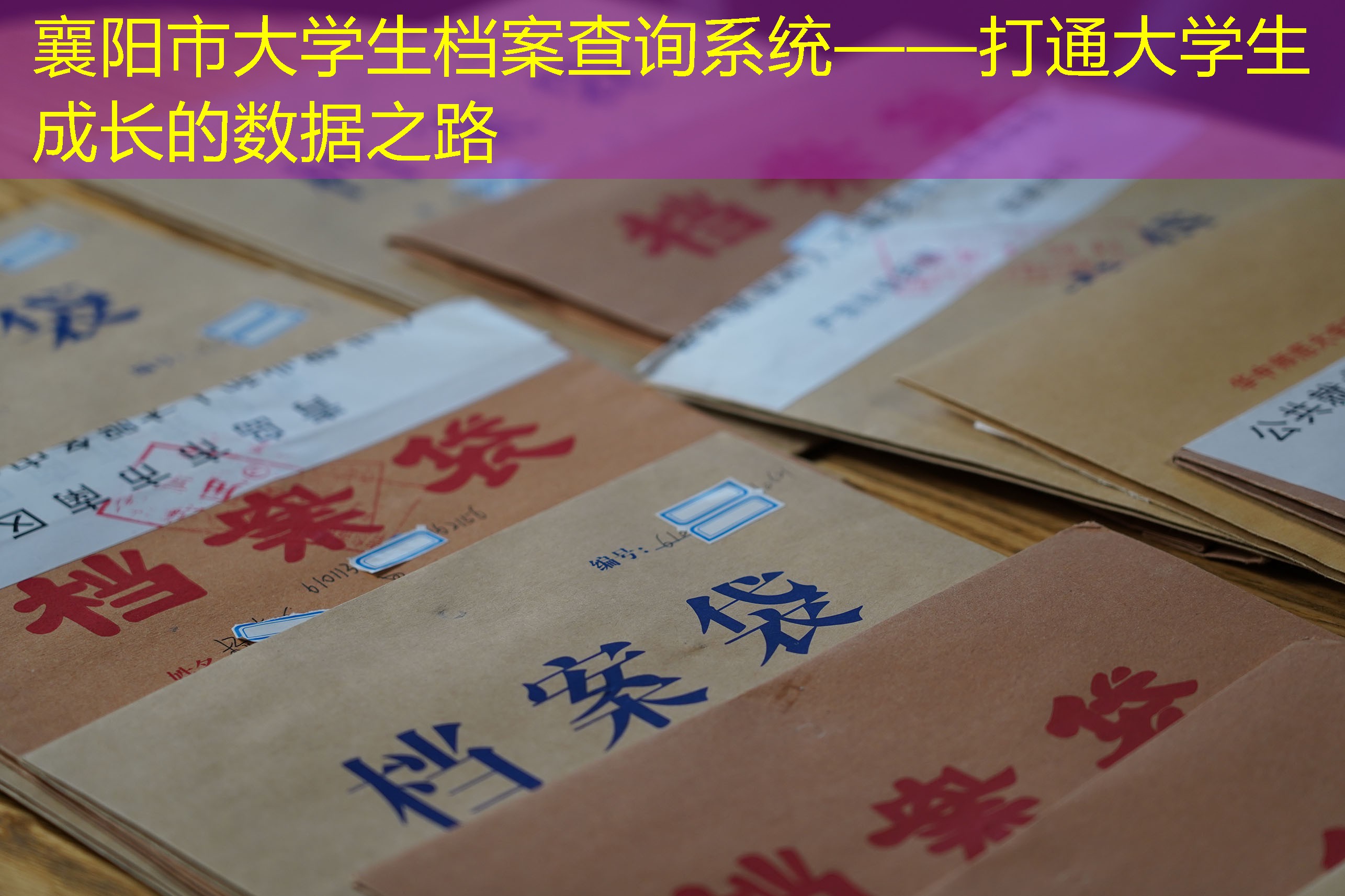 档案查询
