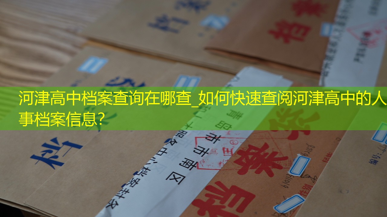 档案查询