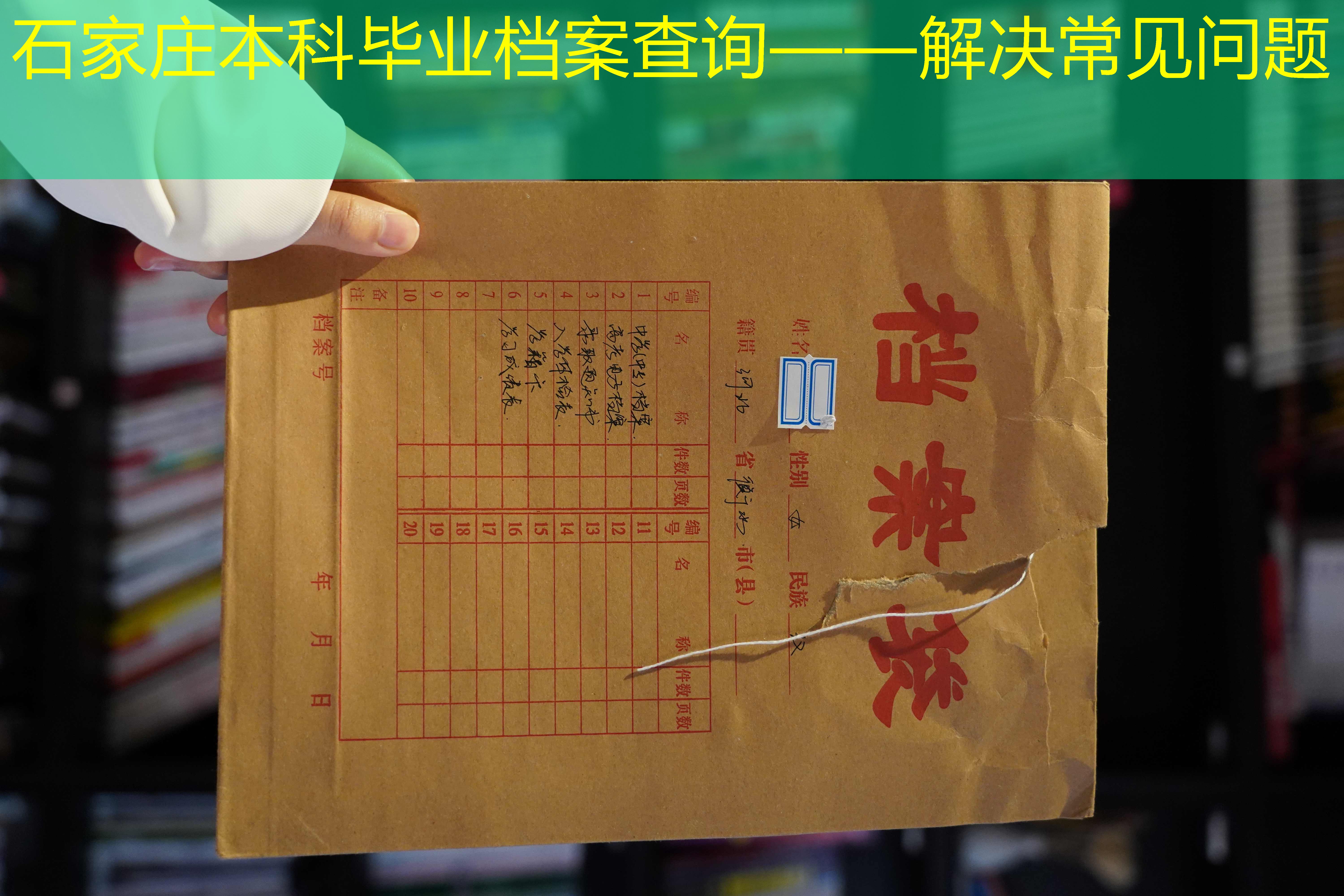 档案查询