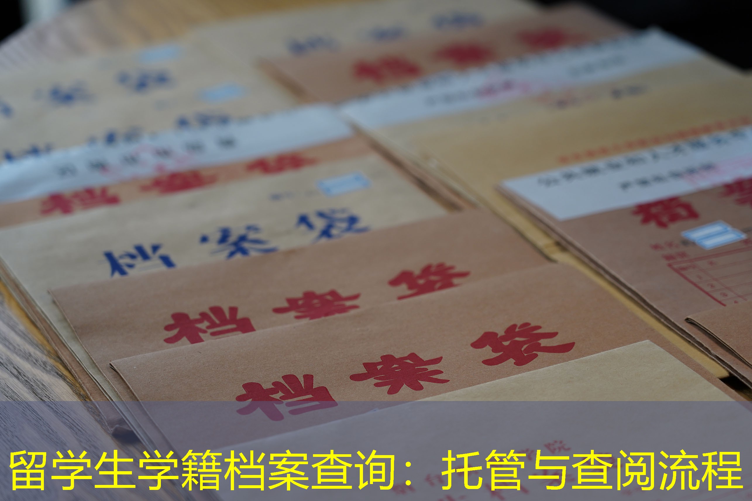 档案查询