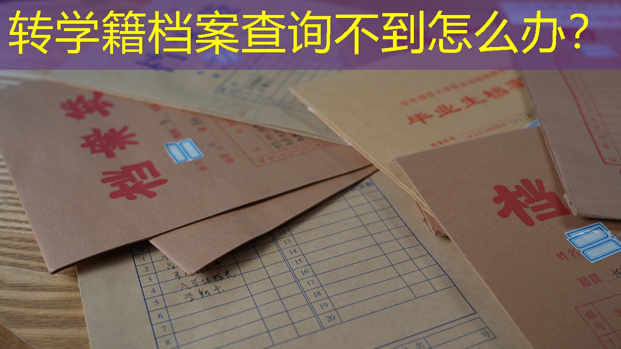 档案查询