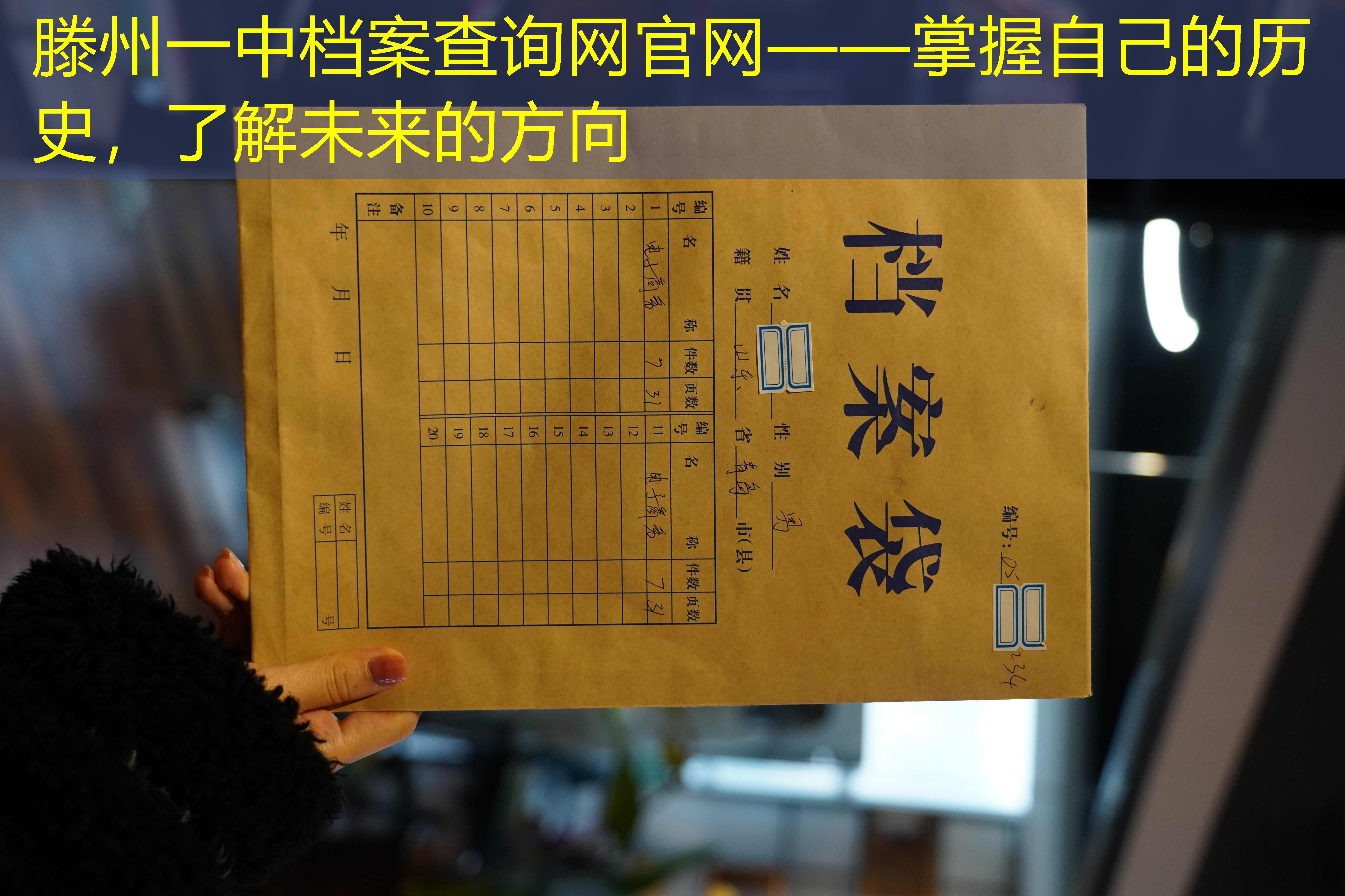 档案查询
