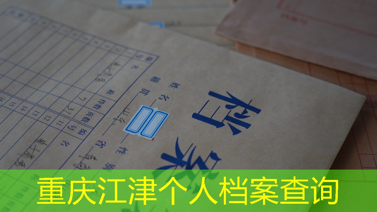 档案查询