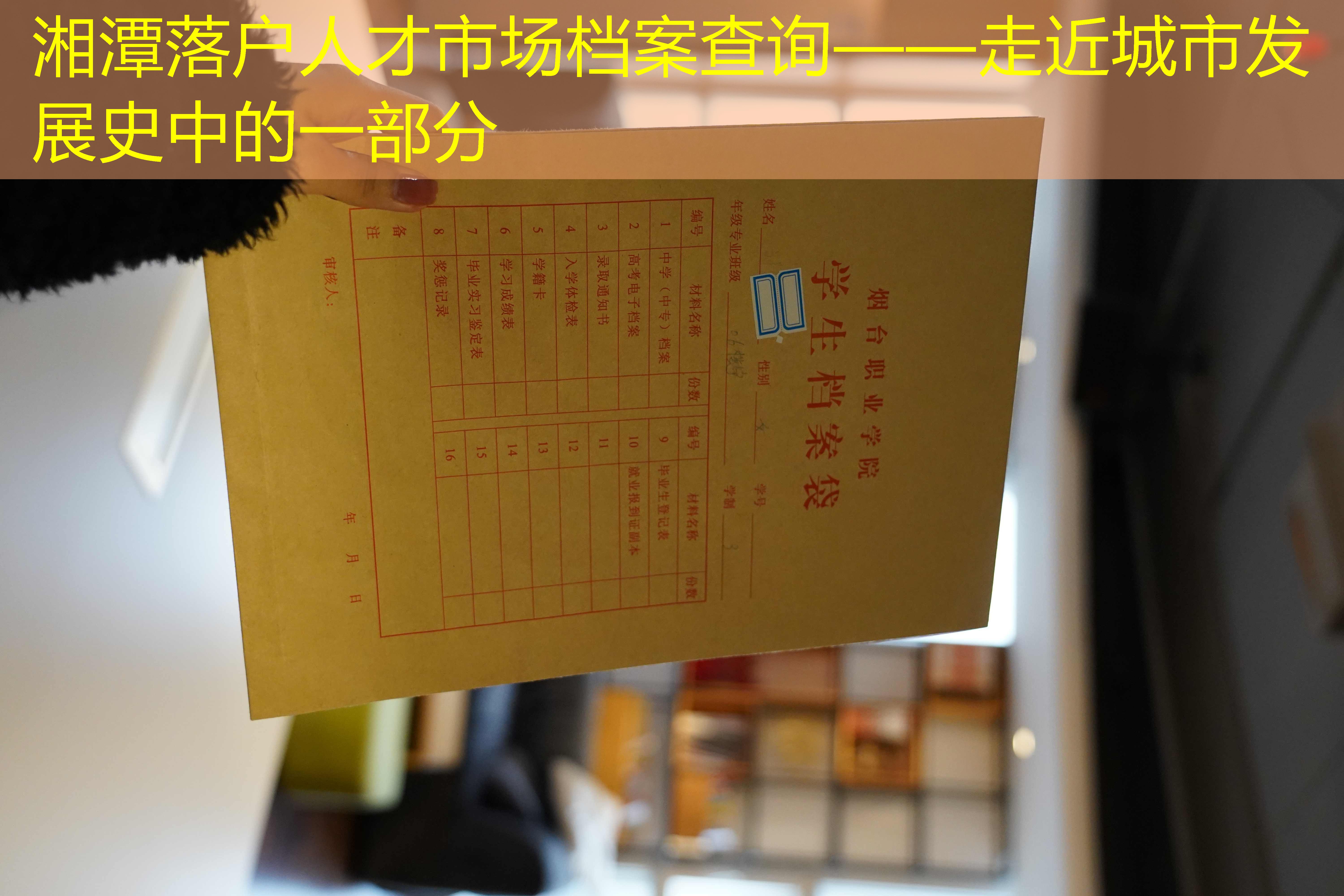 档案查询