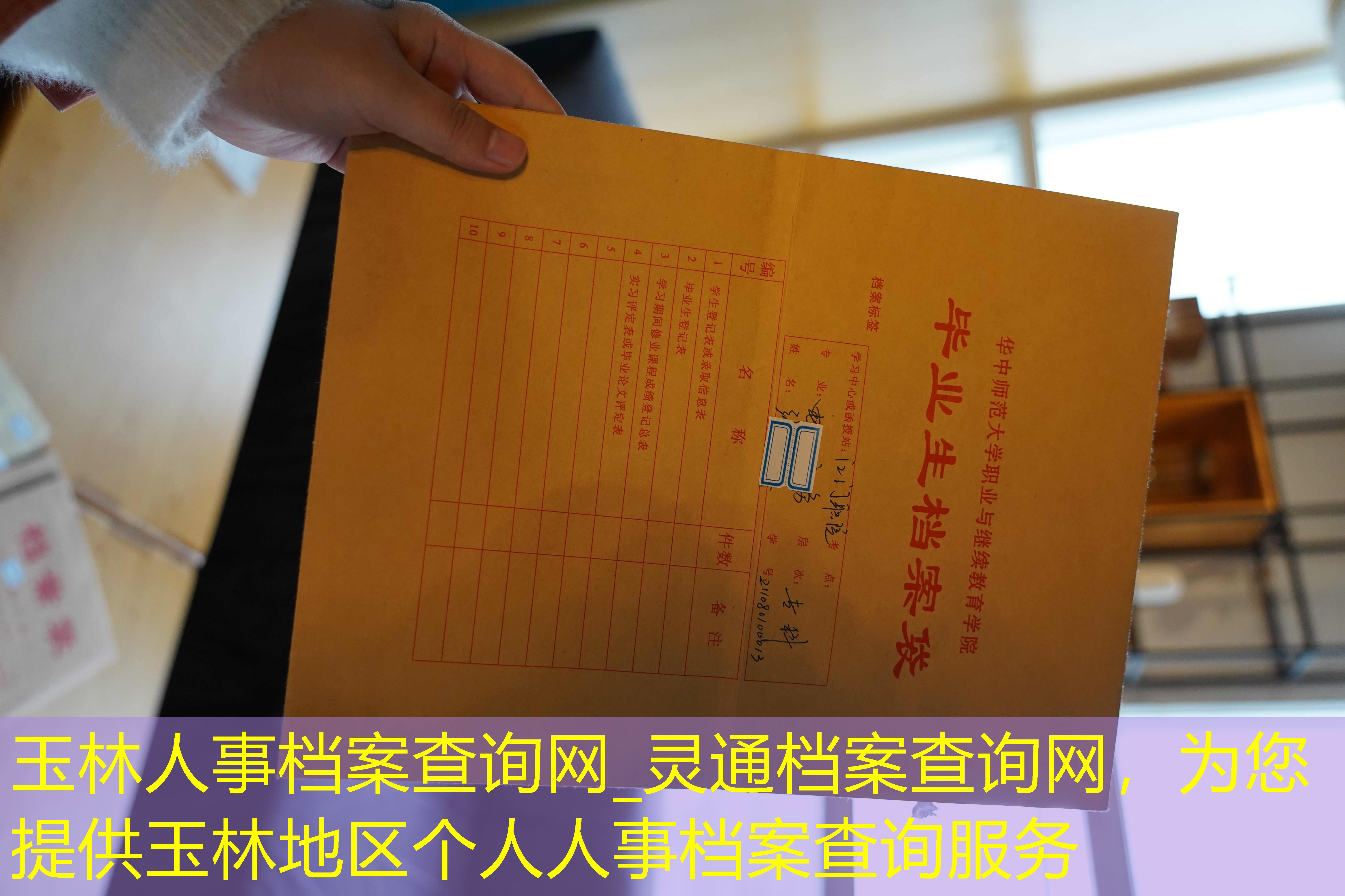档案查询