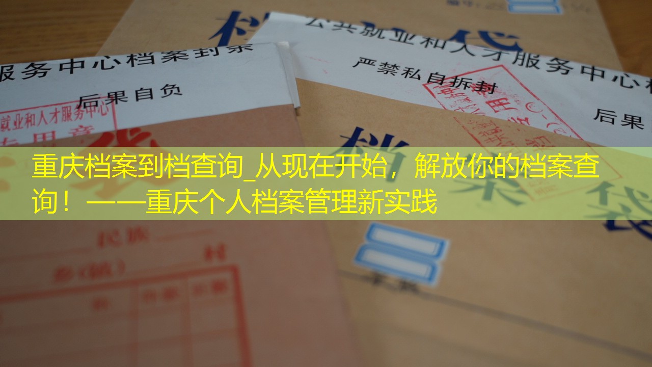 档案查询