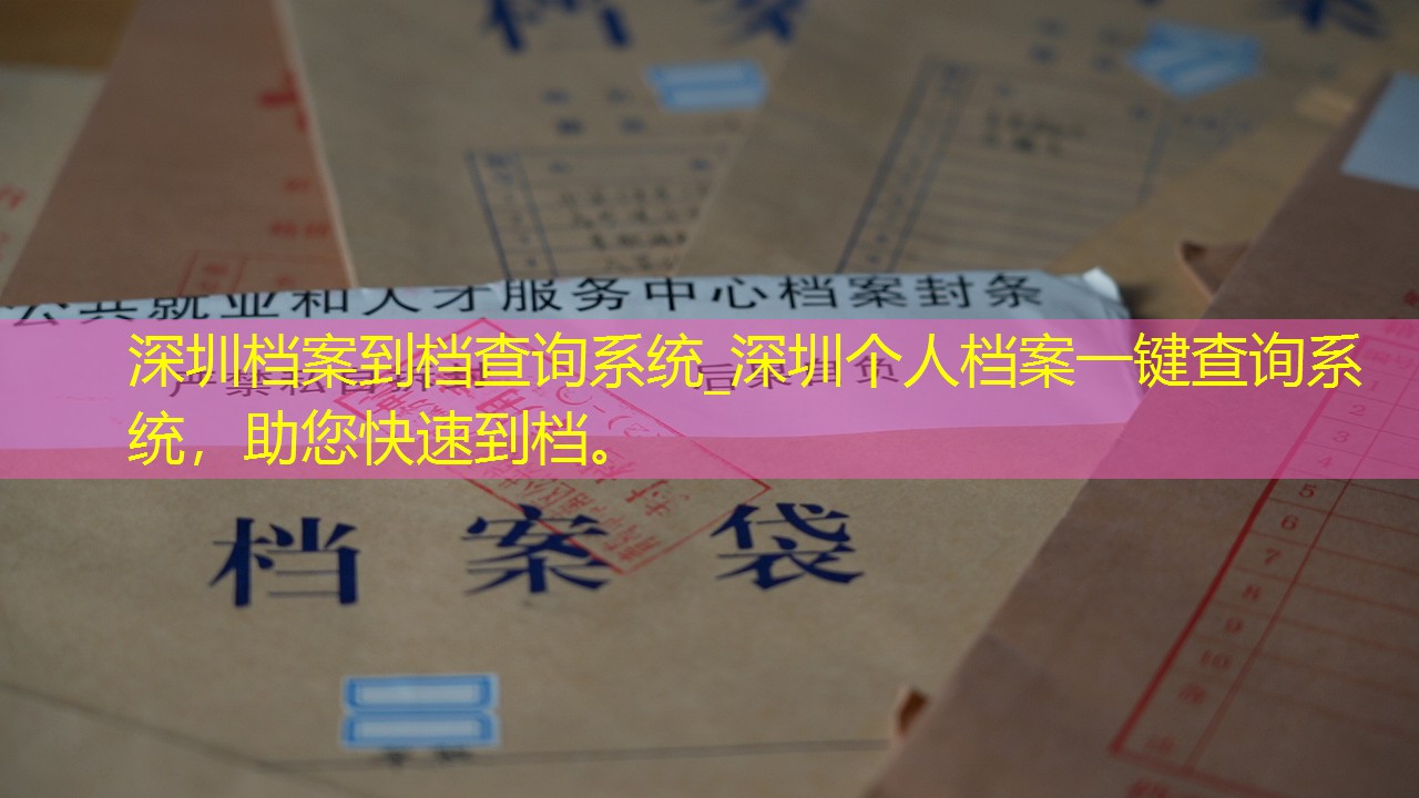 档案查询