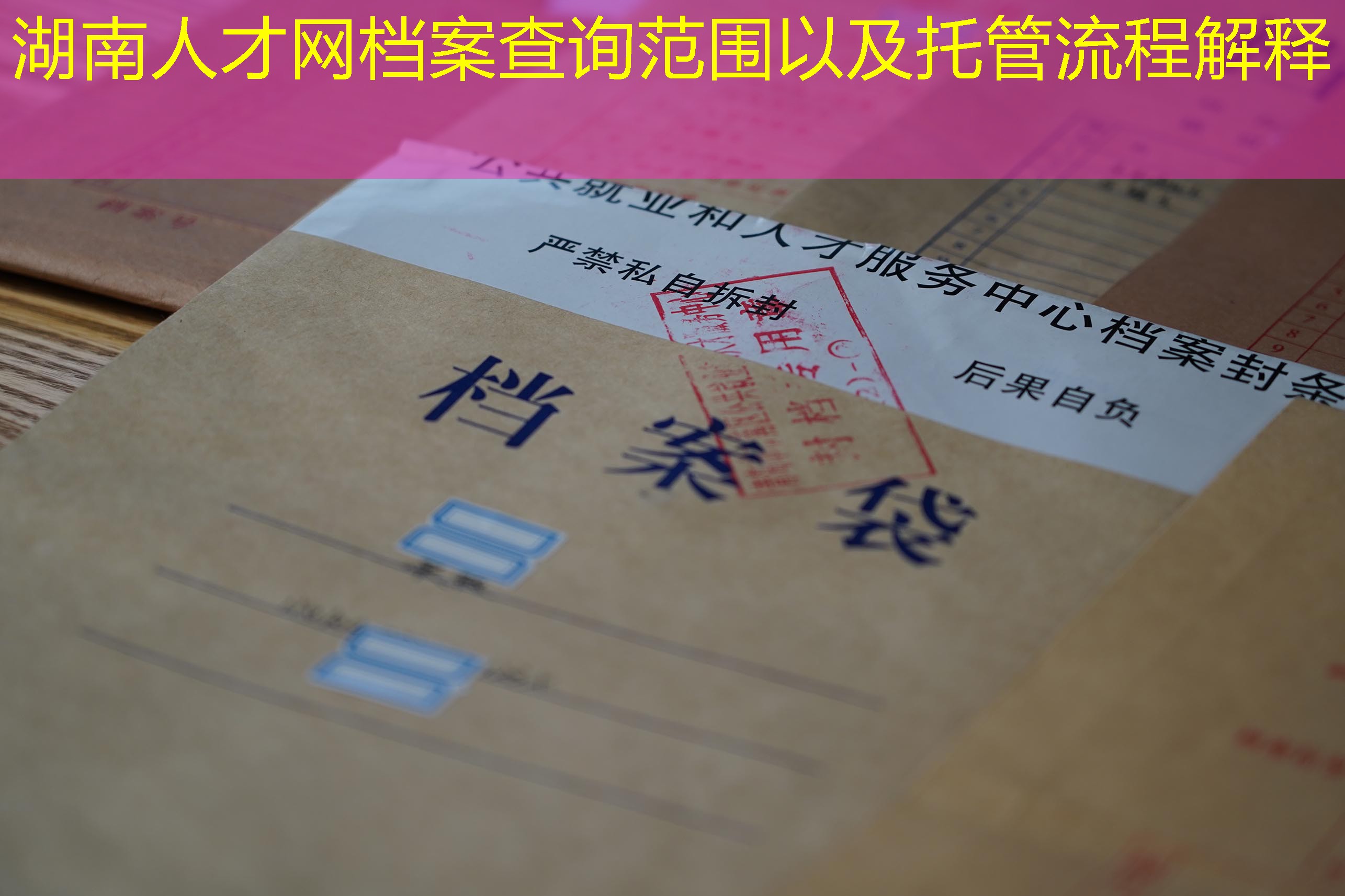 档案查询