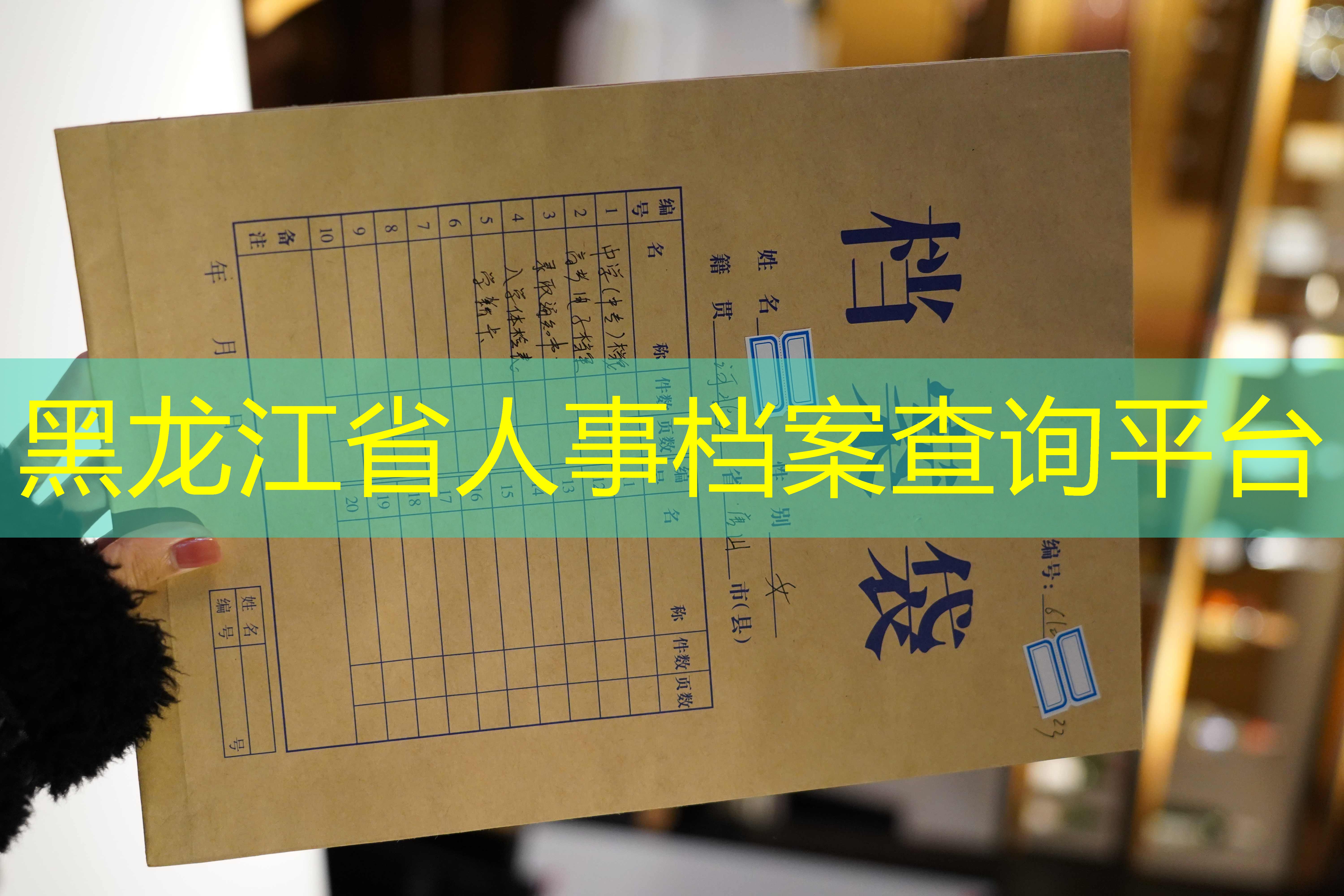 档案查询