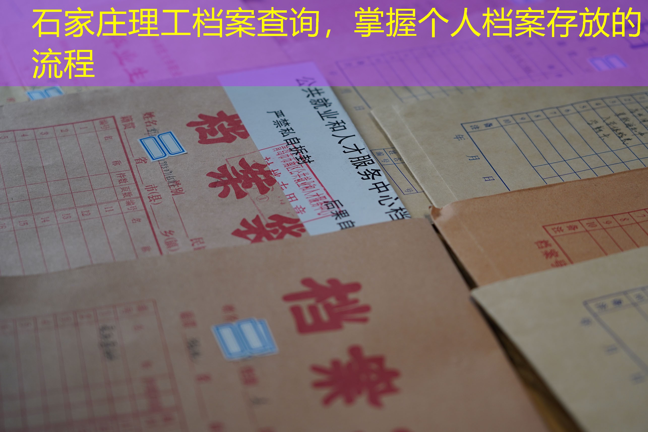 档案查询