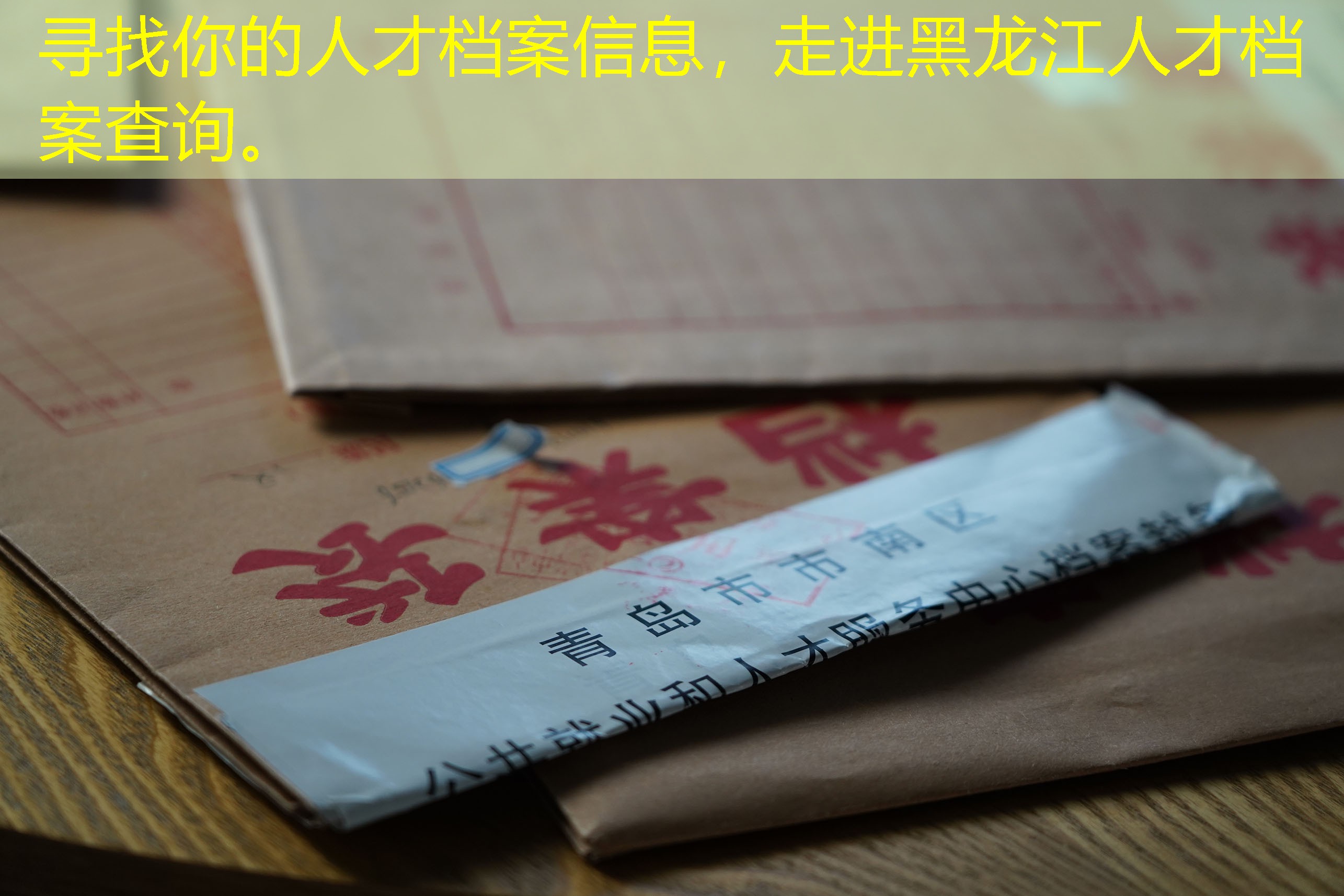 档案查询