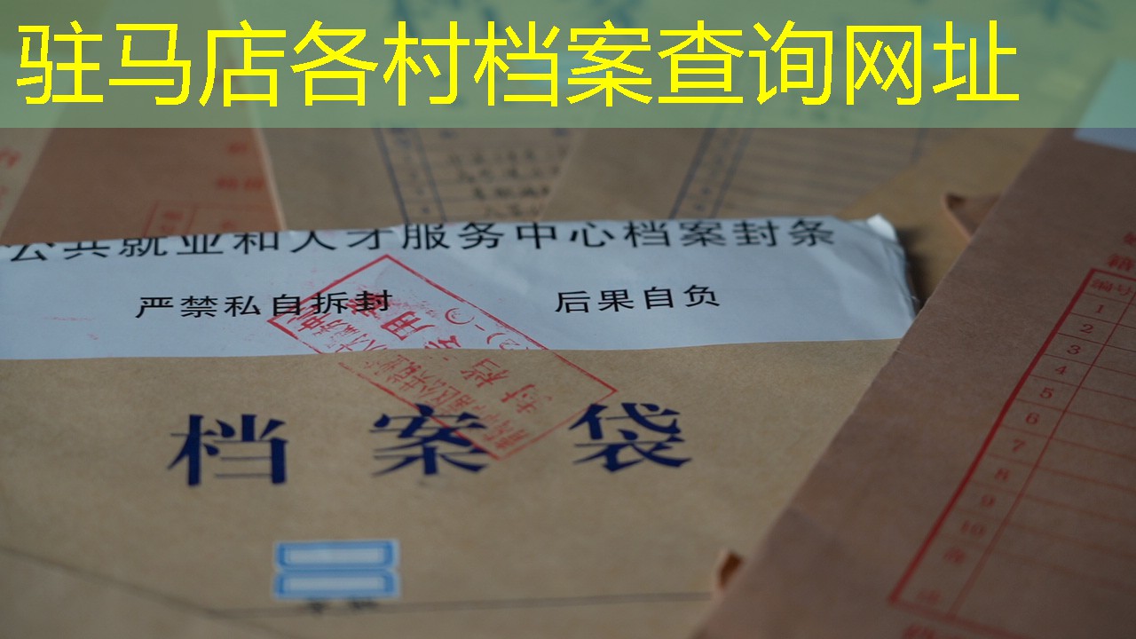 档案查询