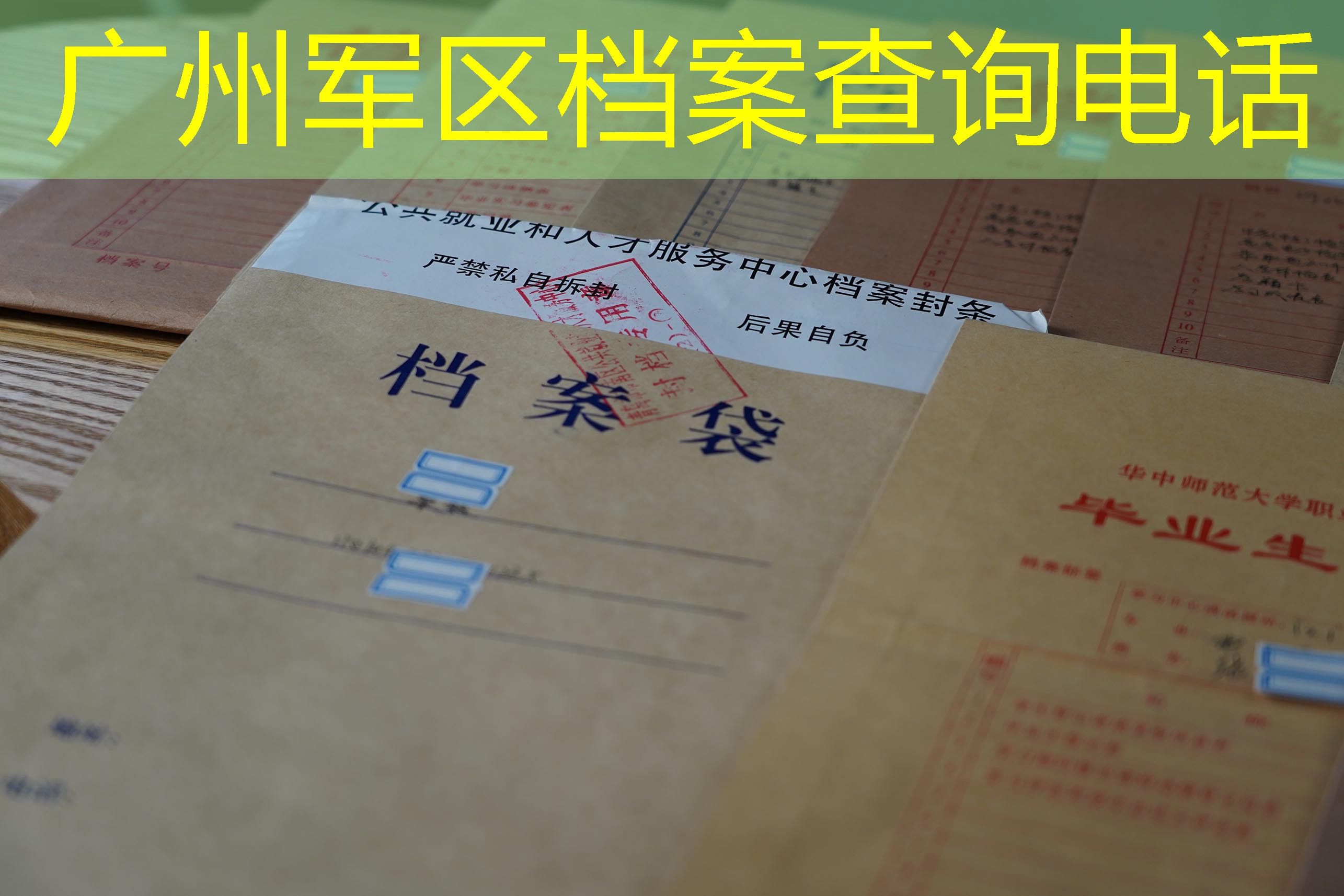 档案查询