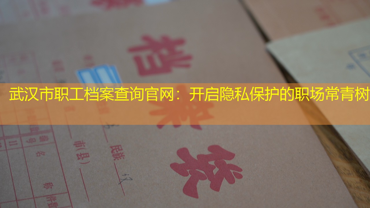 档案查询