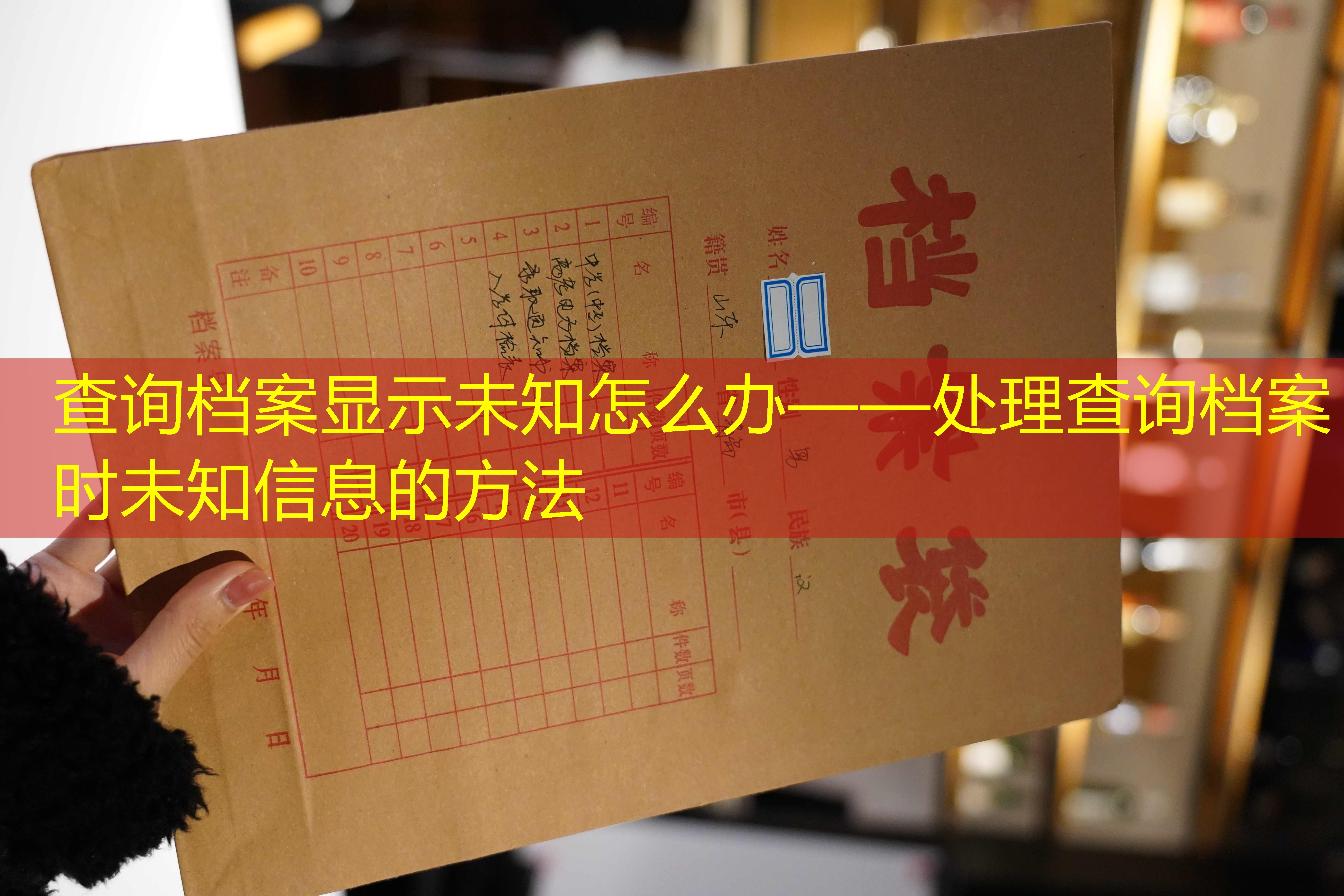 档案查询