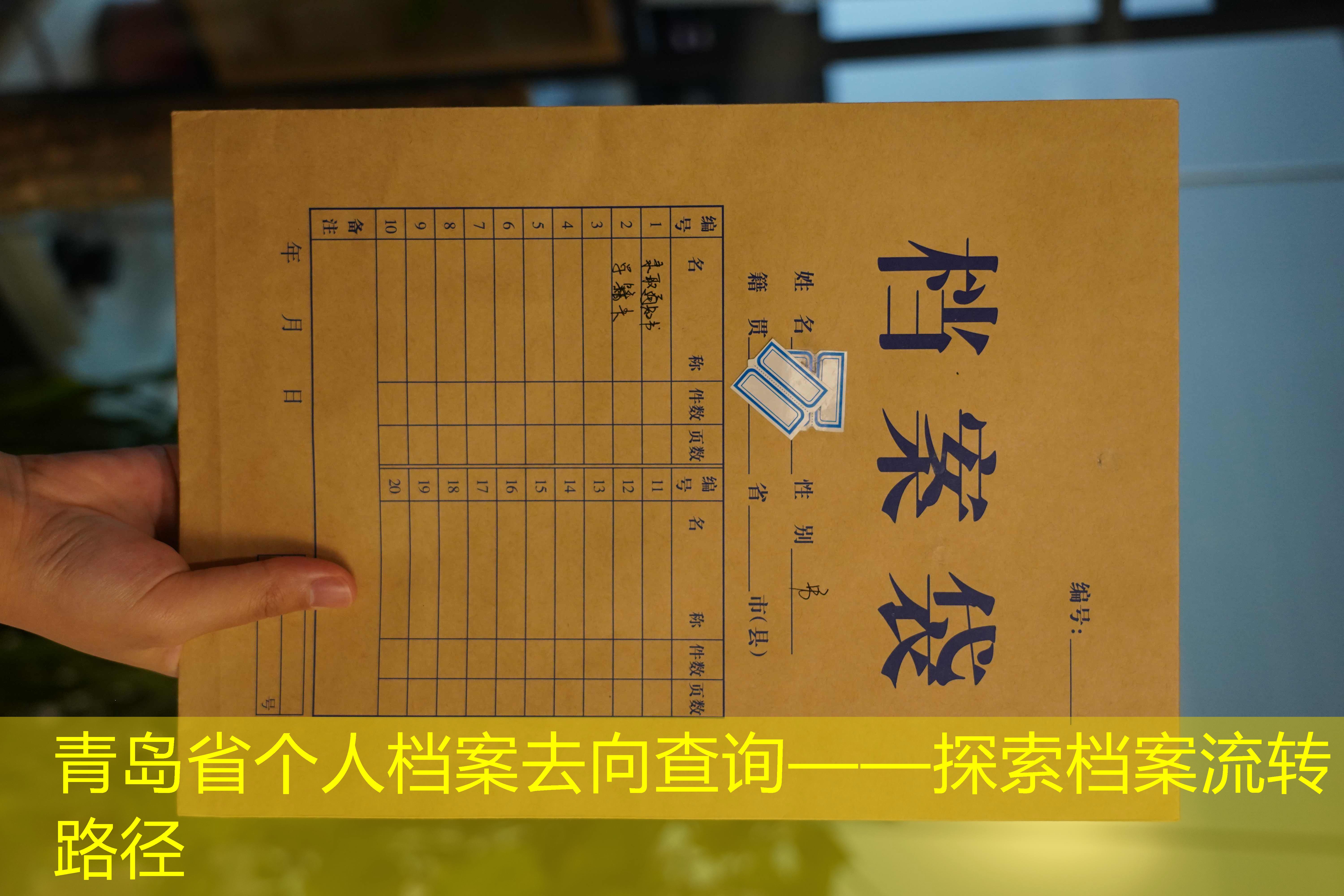 档案查询