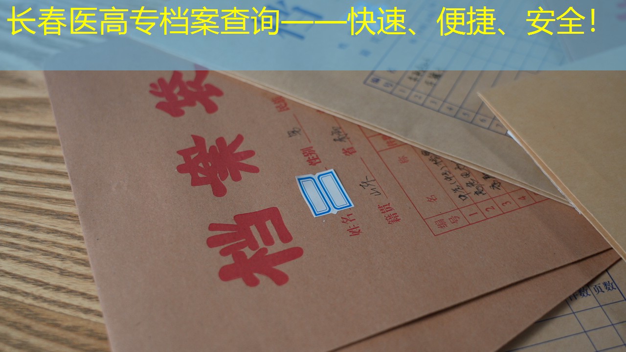 档案查询