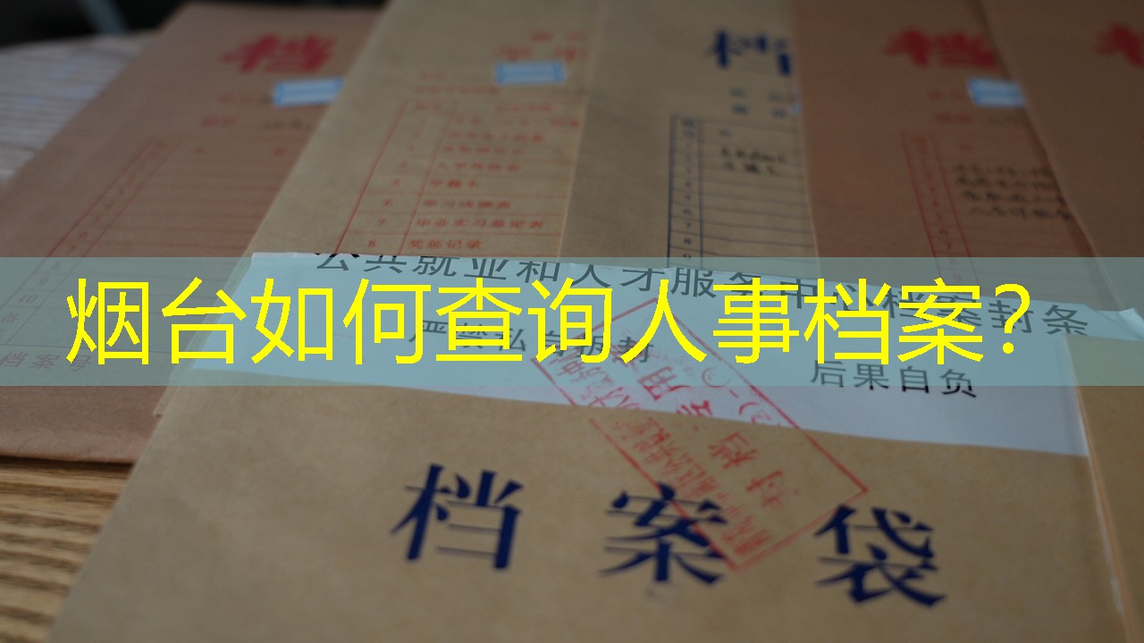 档案查询