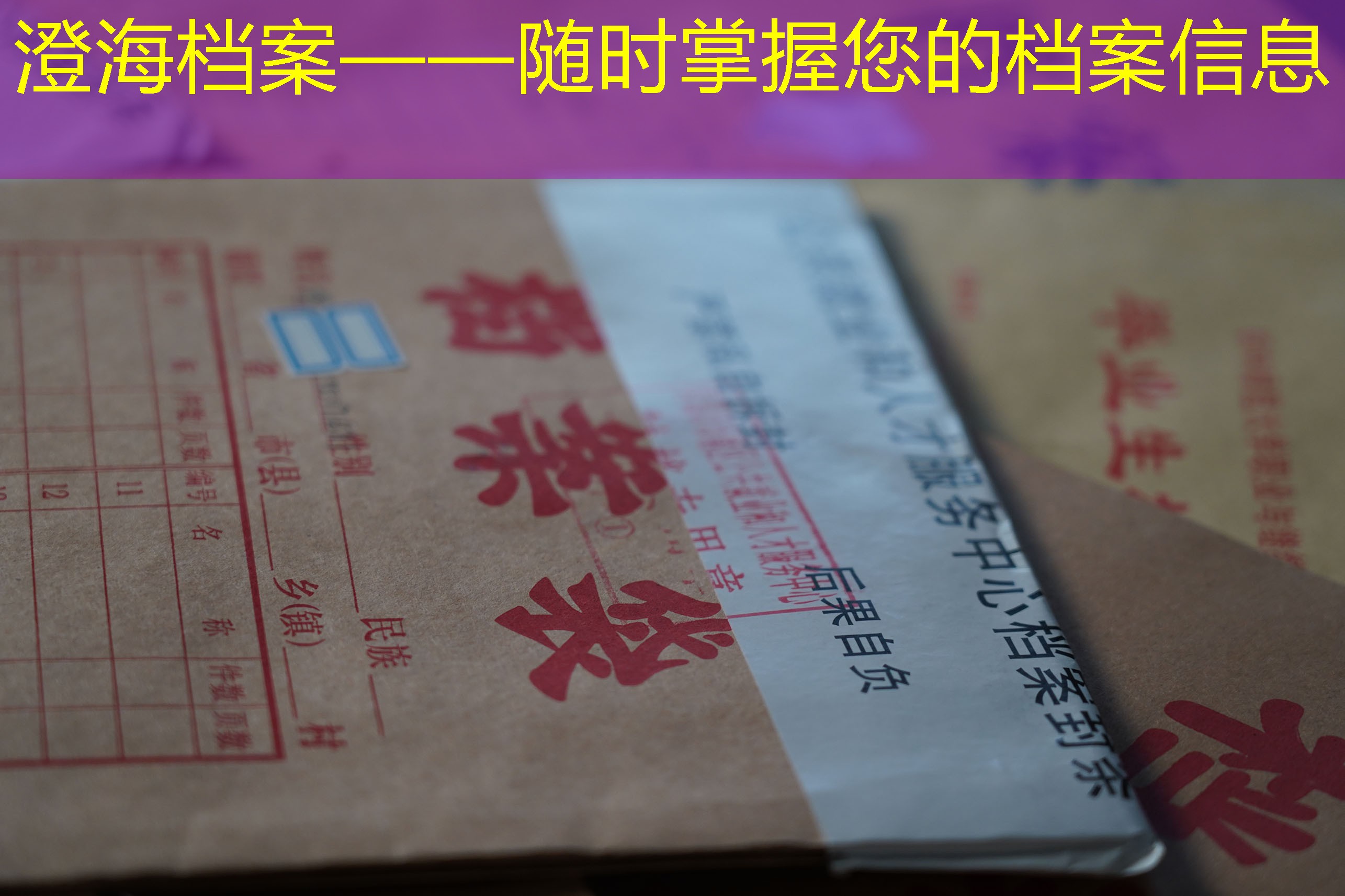 档案查询