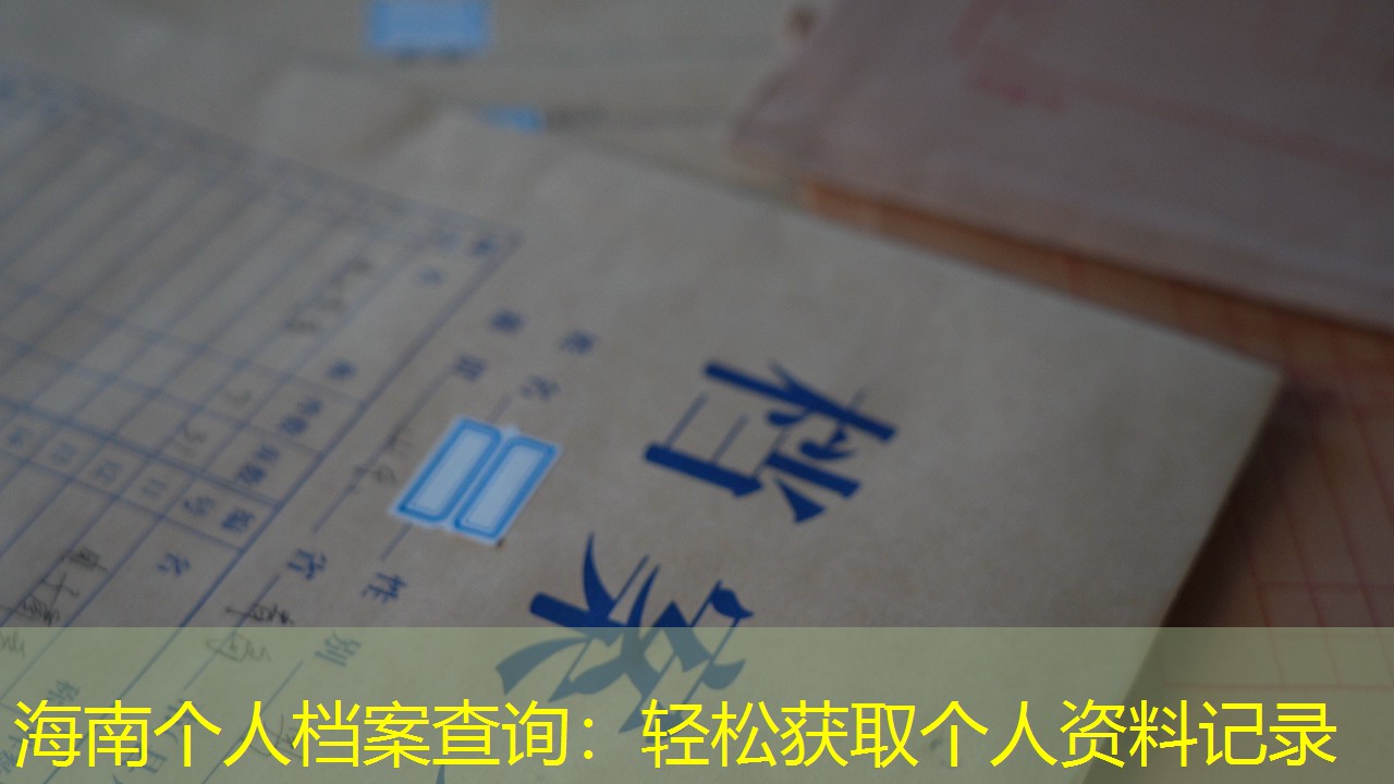 档案查询
