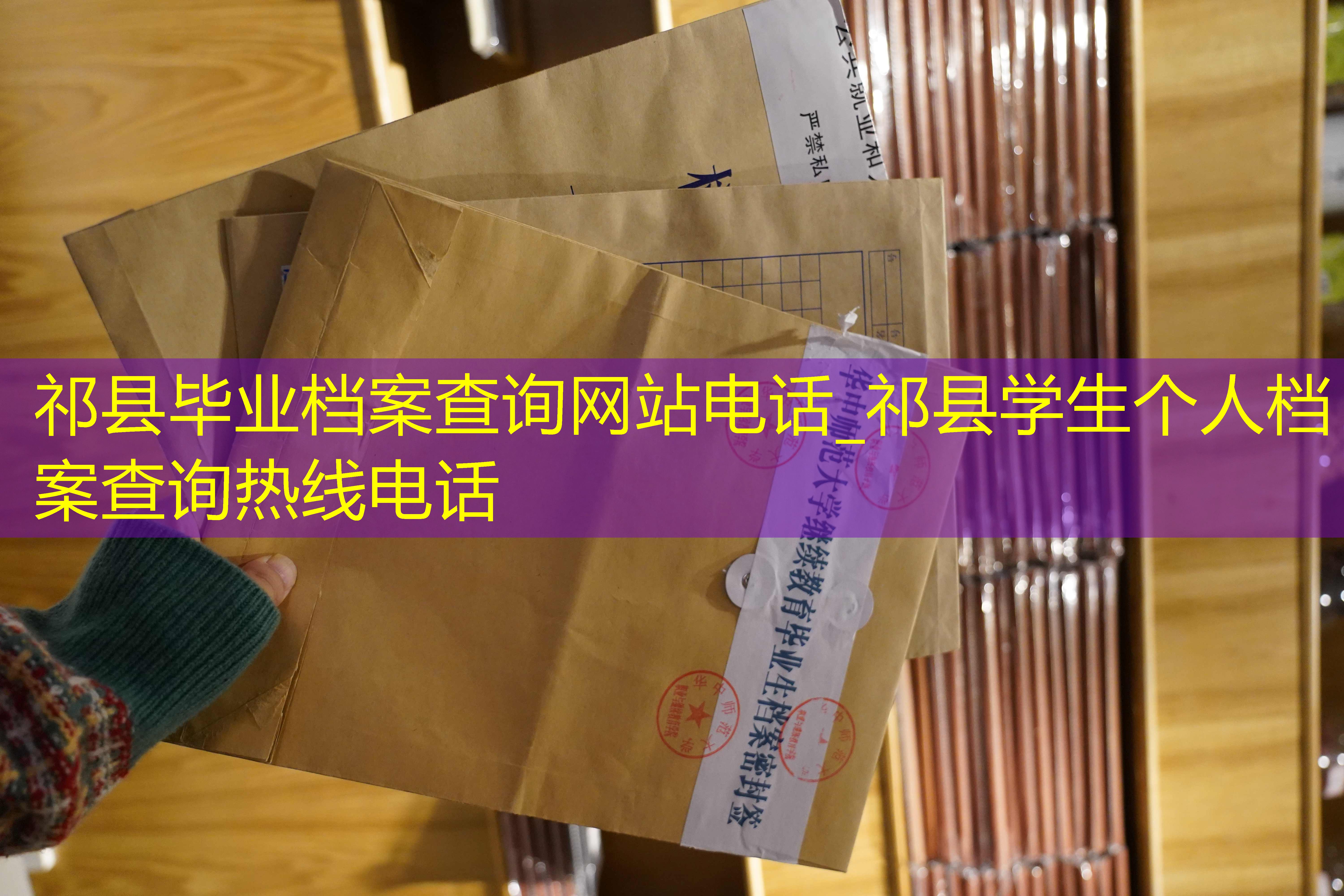 档案查询