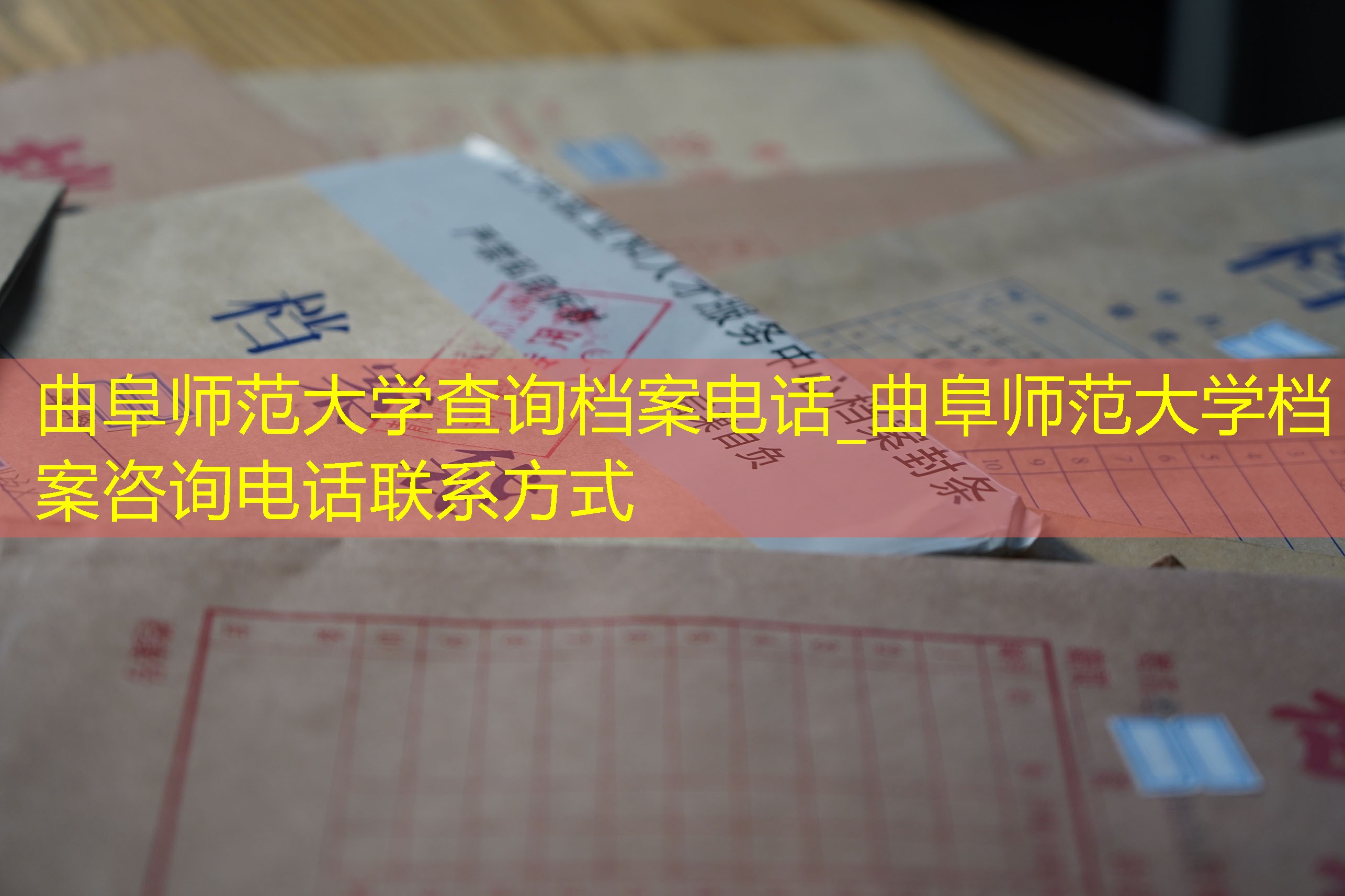 档案查询