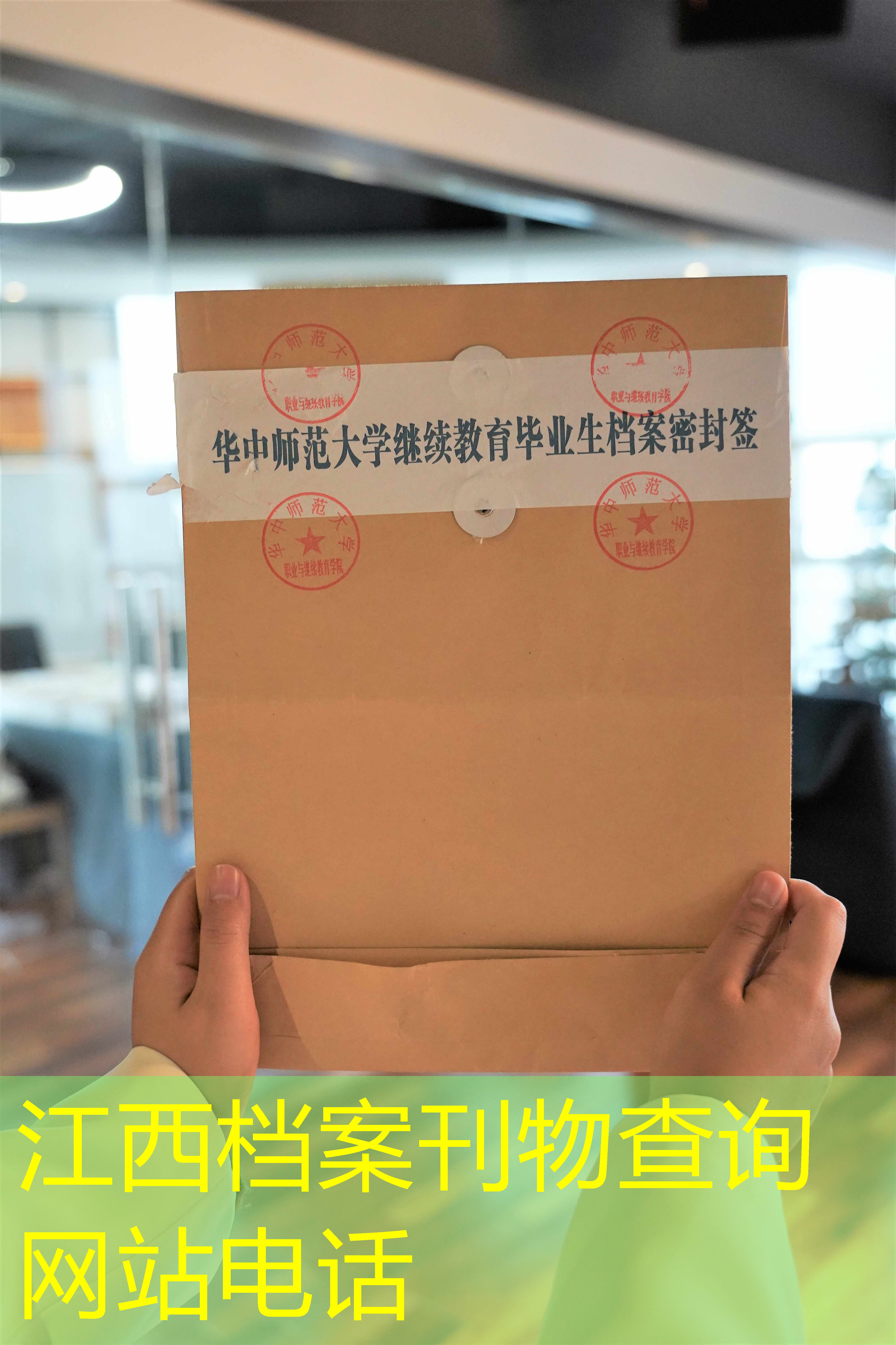 档案查询