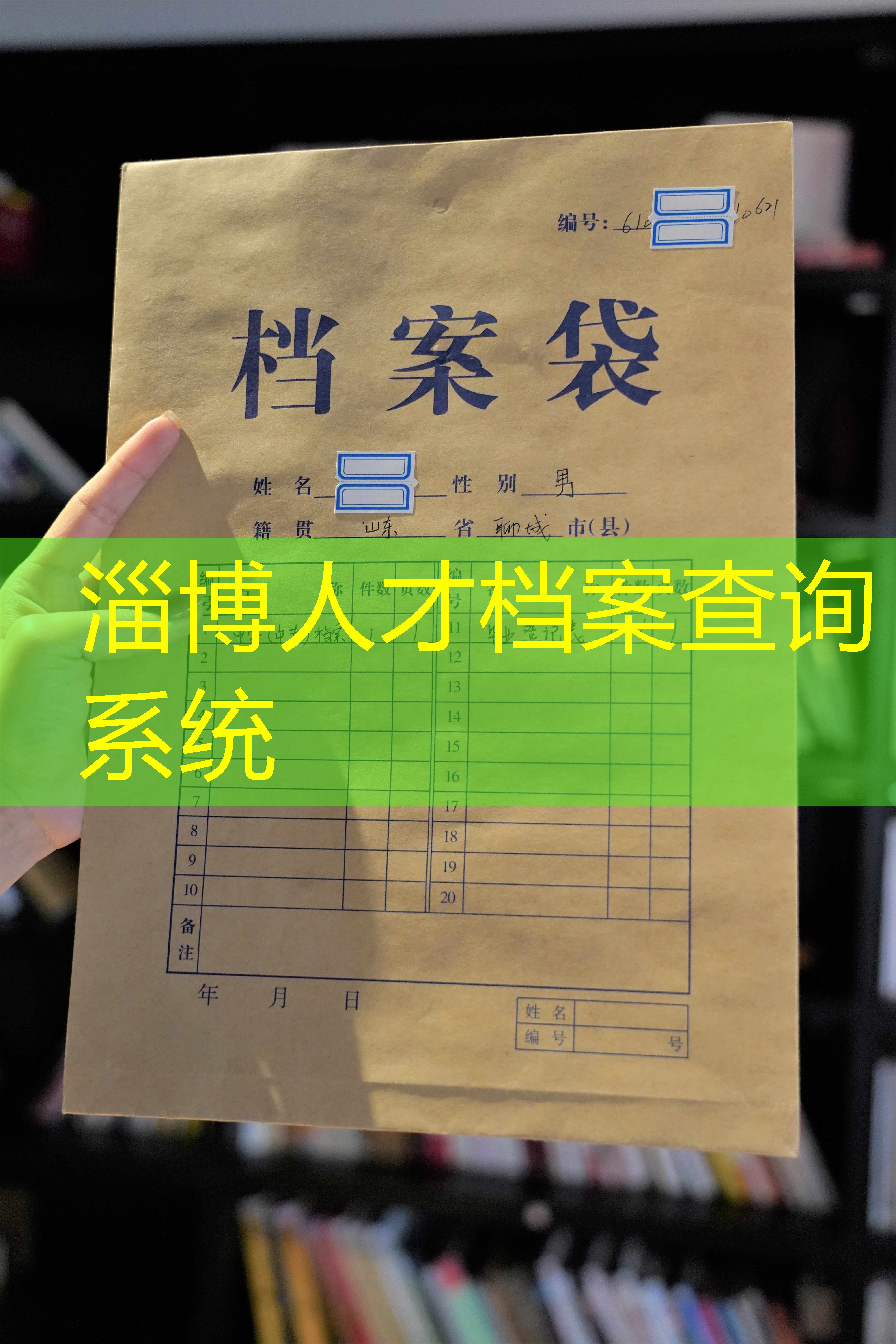 档案查询