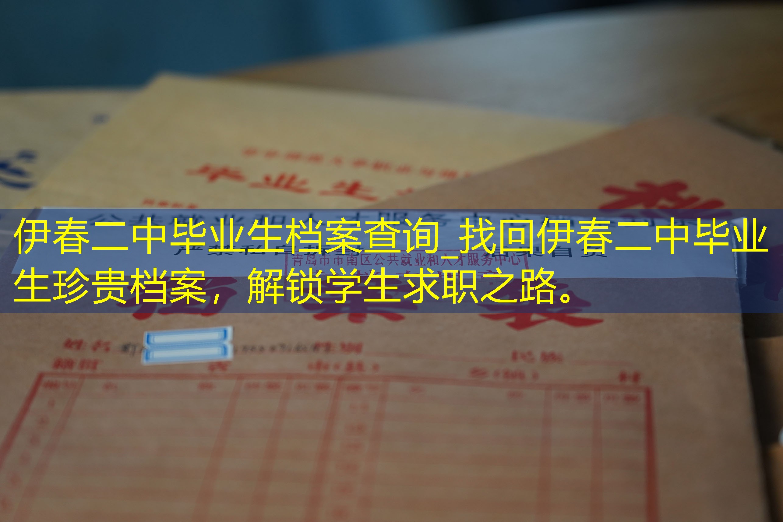 档案查询