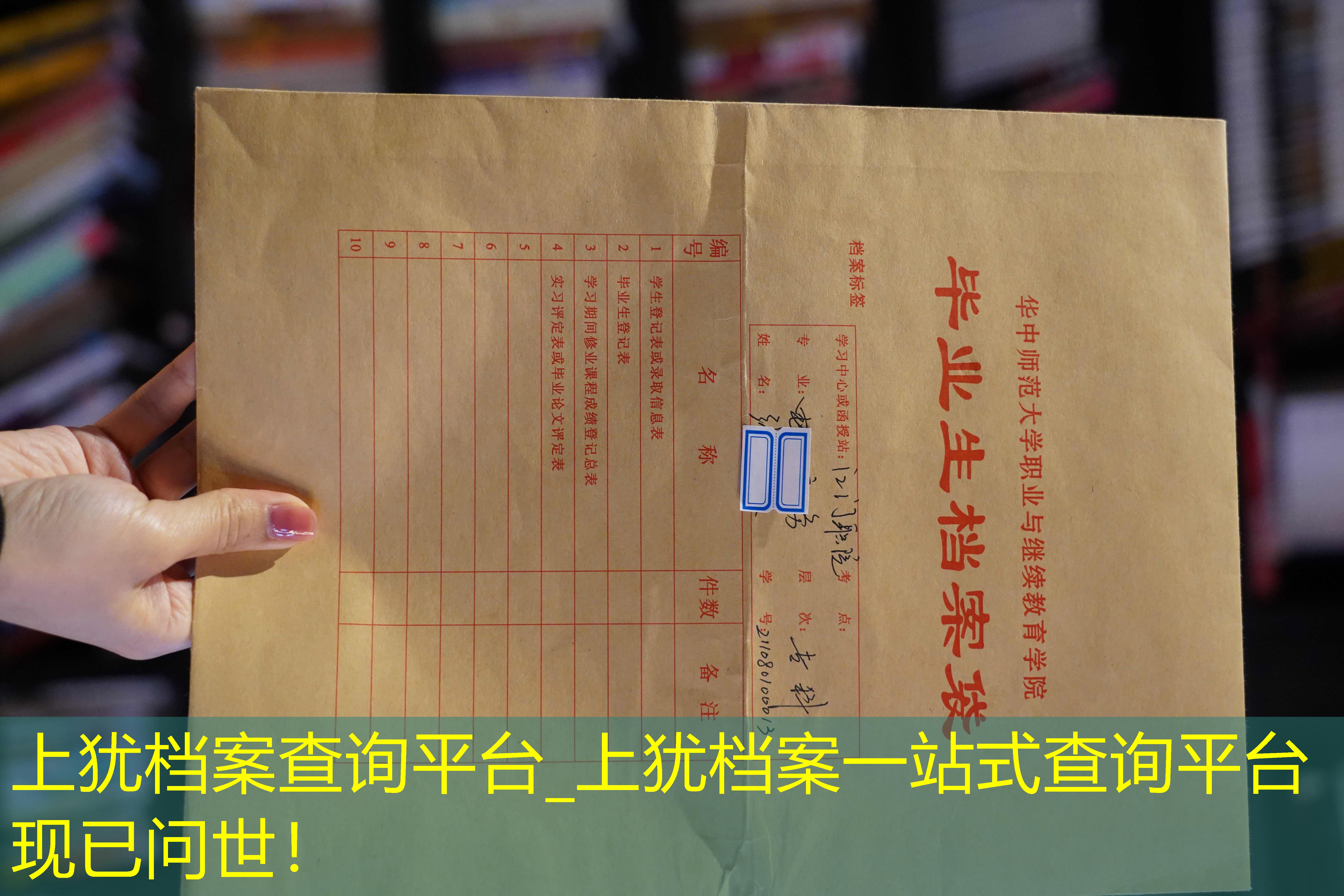 档案查询