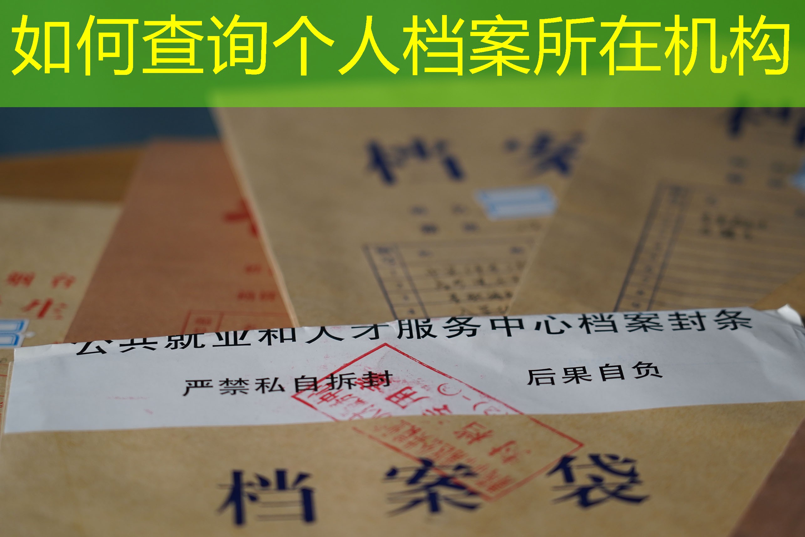 档案查询