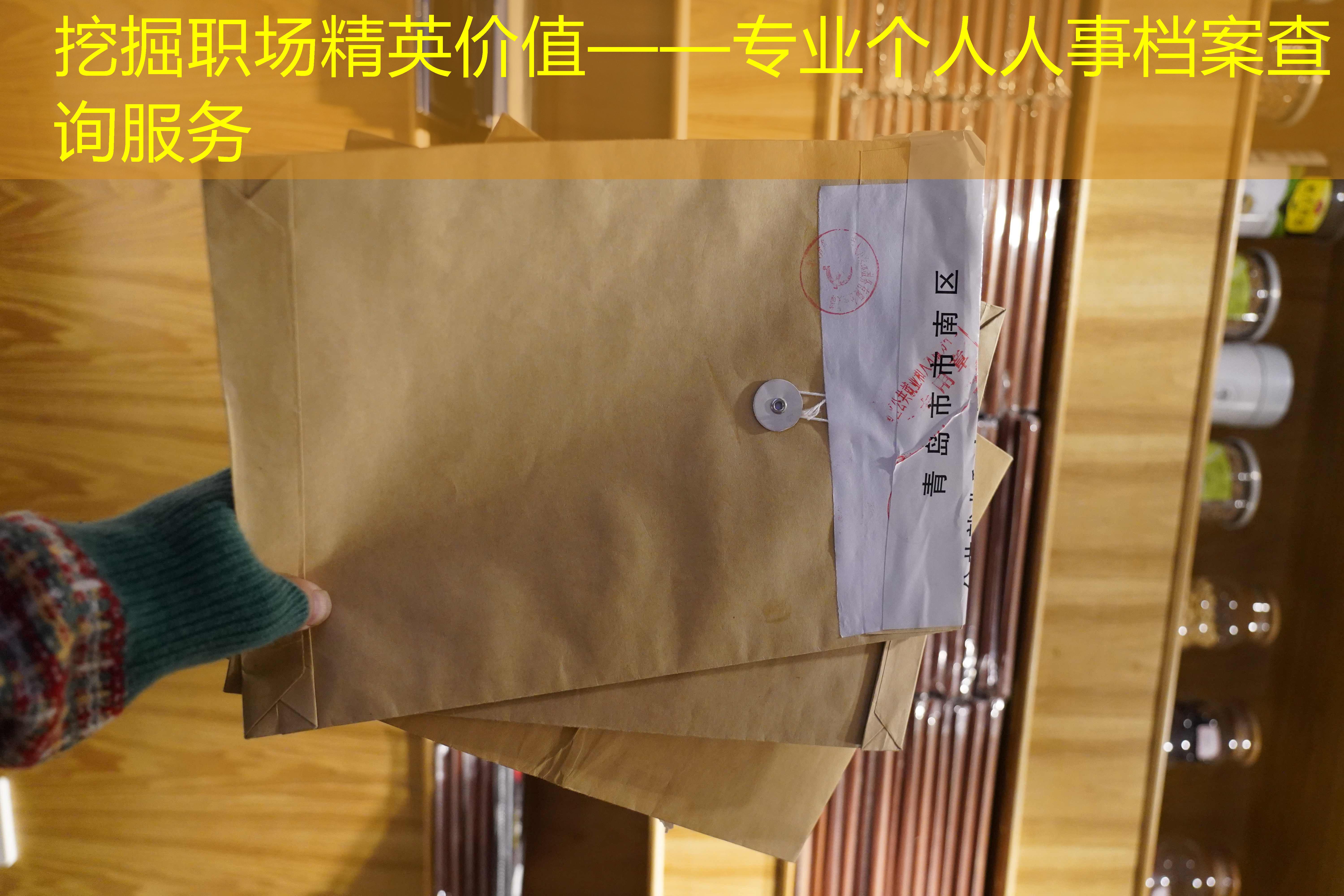 档案查询