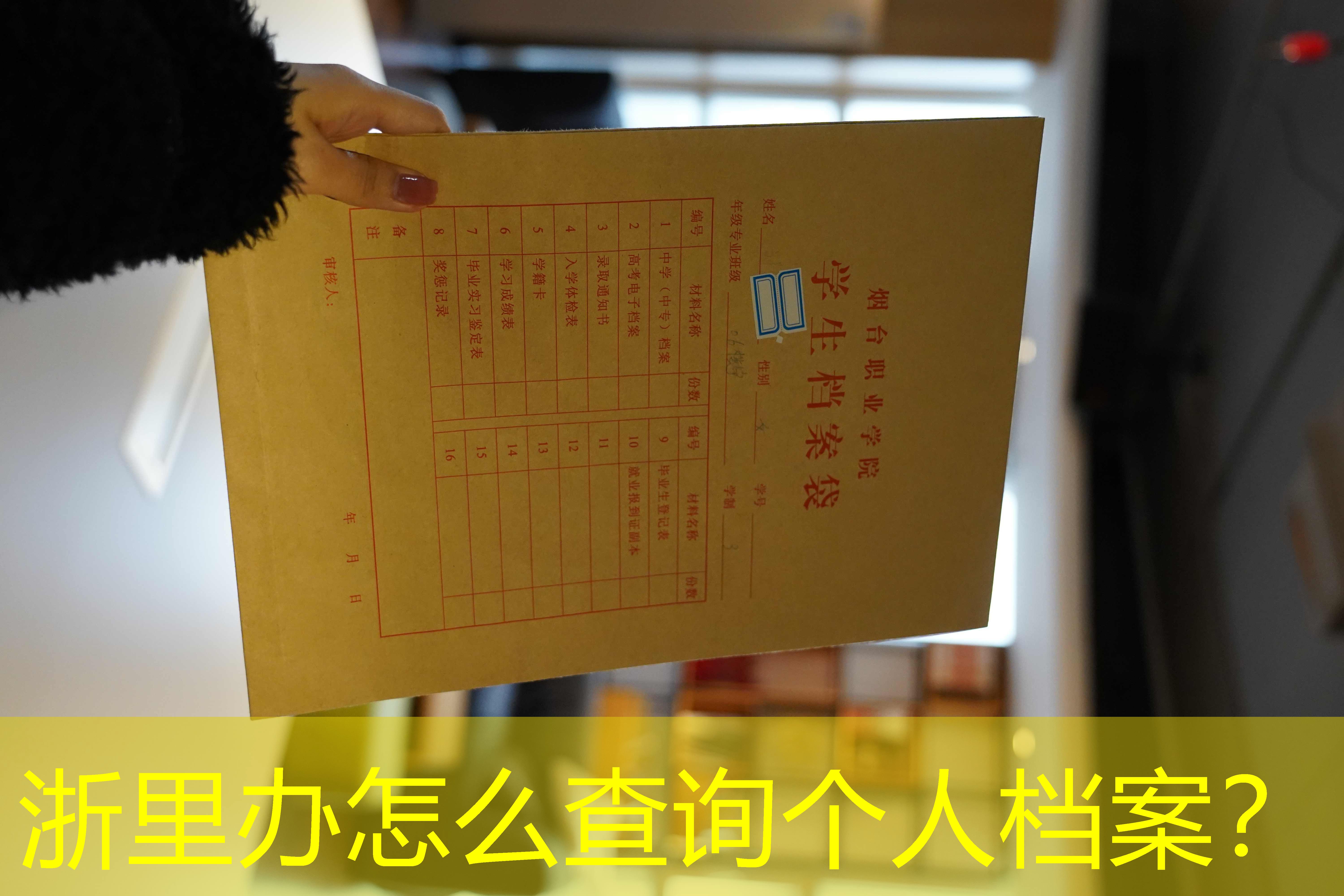 档案查询