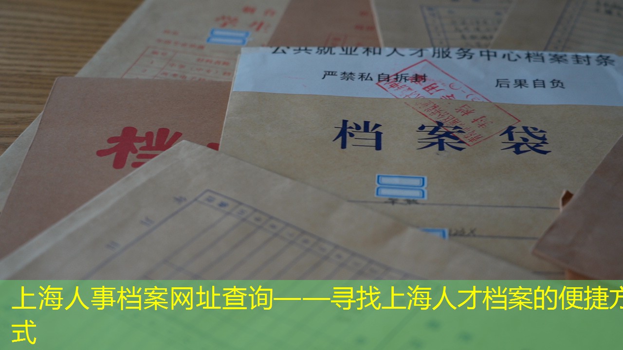 档案查询