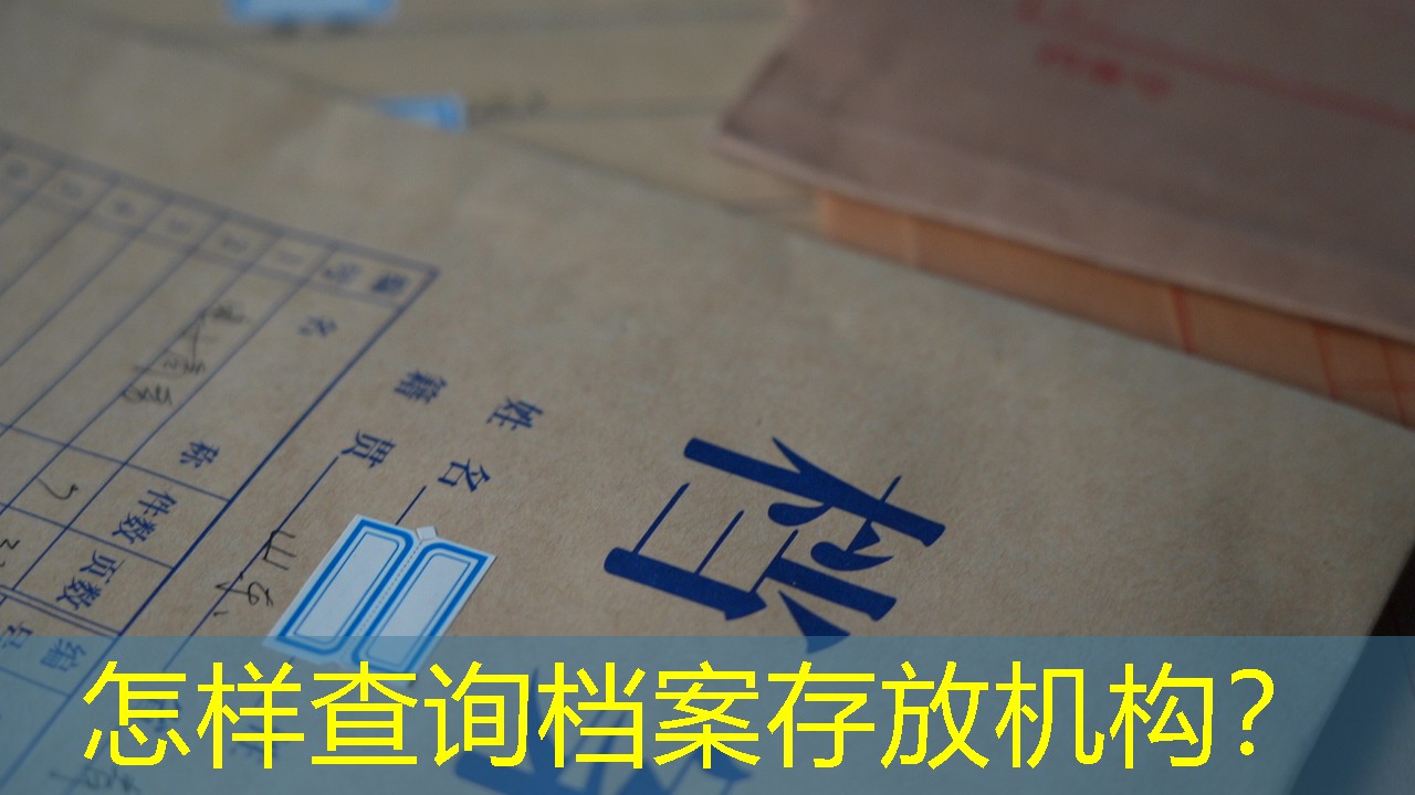 档案查询