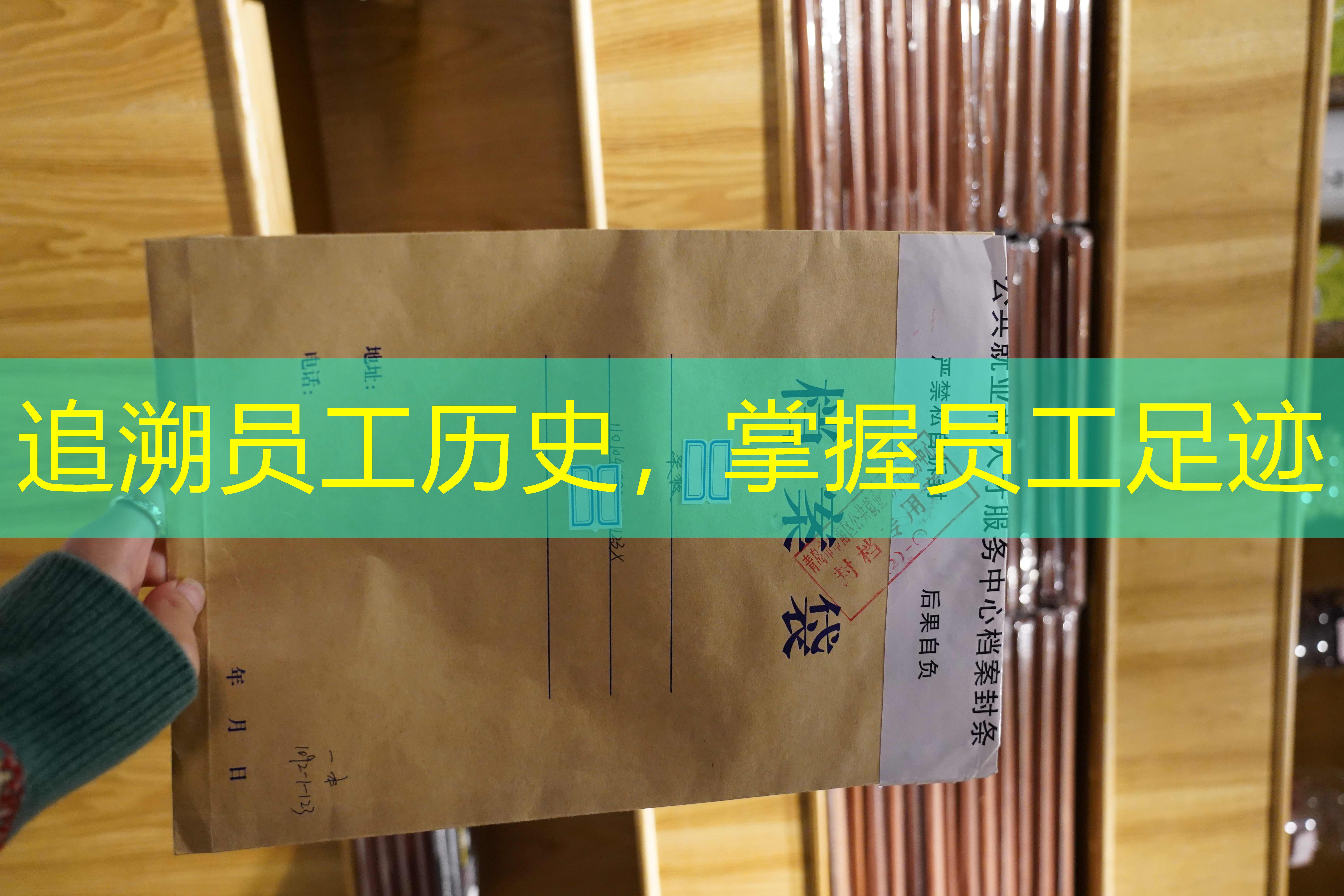 档案查询