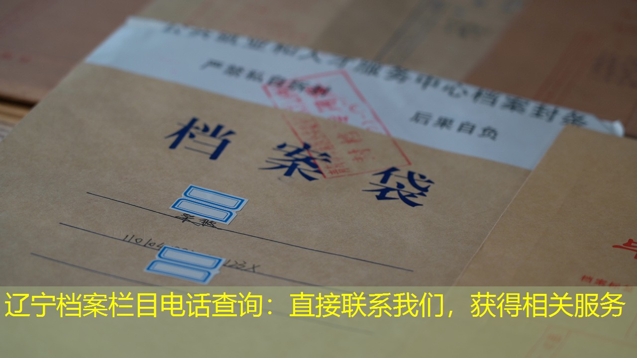 档案查询