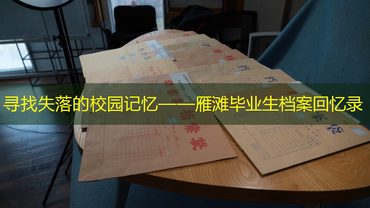 档案查询