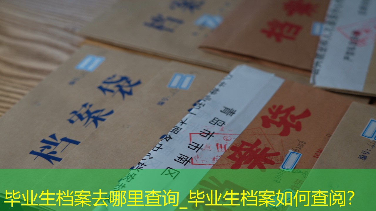 档案查询