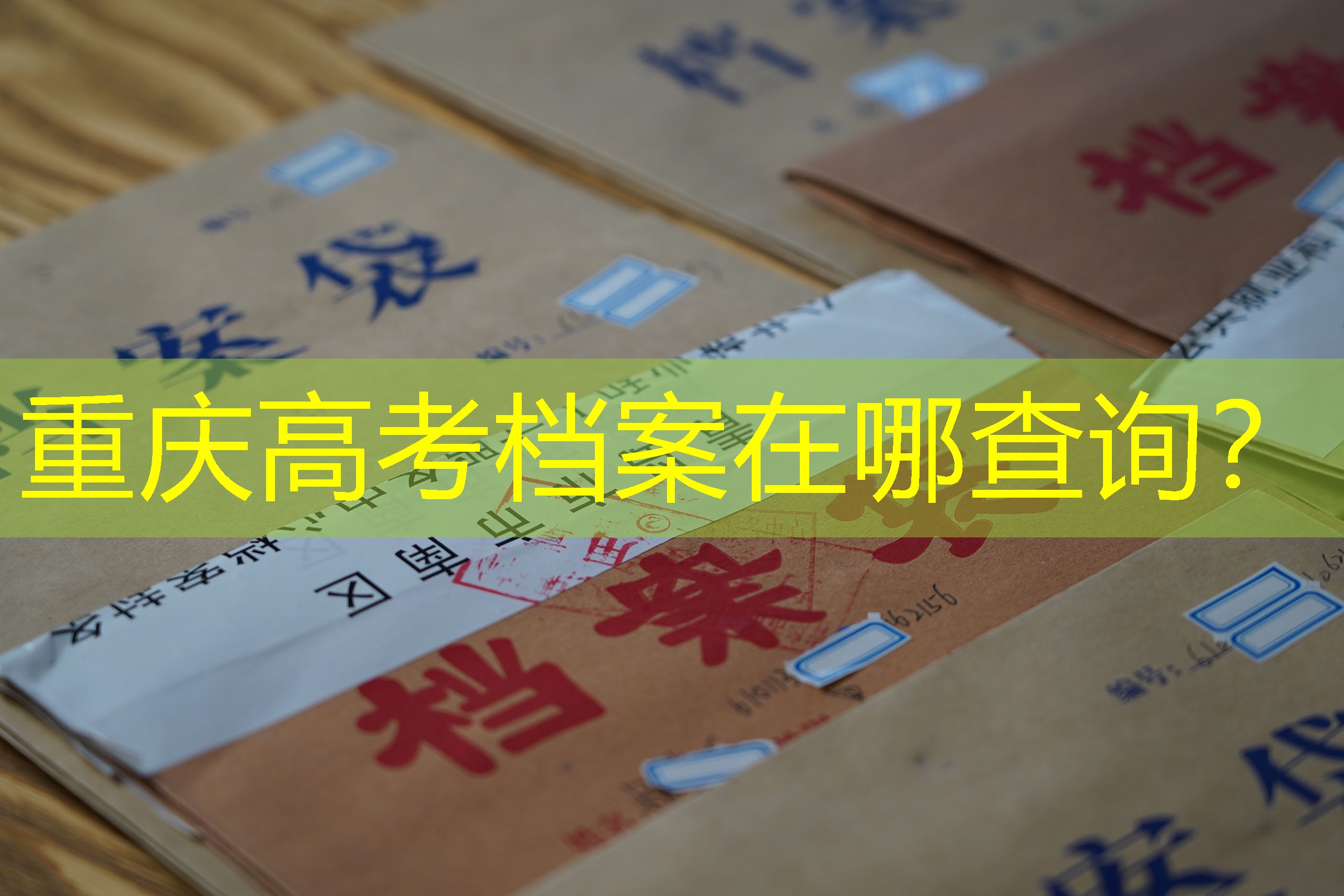 档案查询