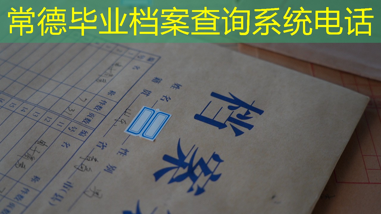 档案查询