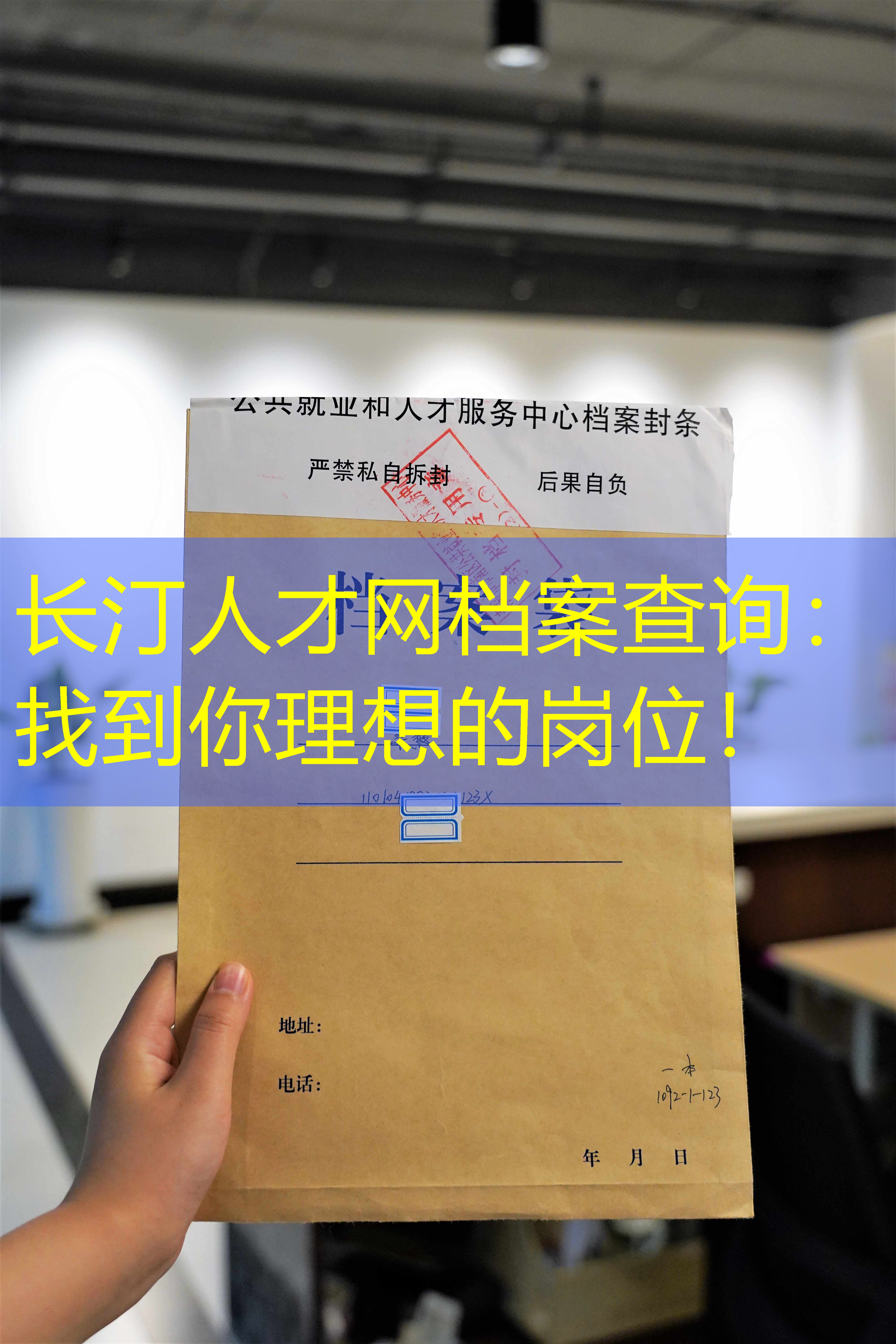 档案查询