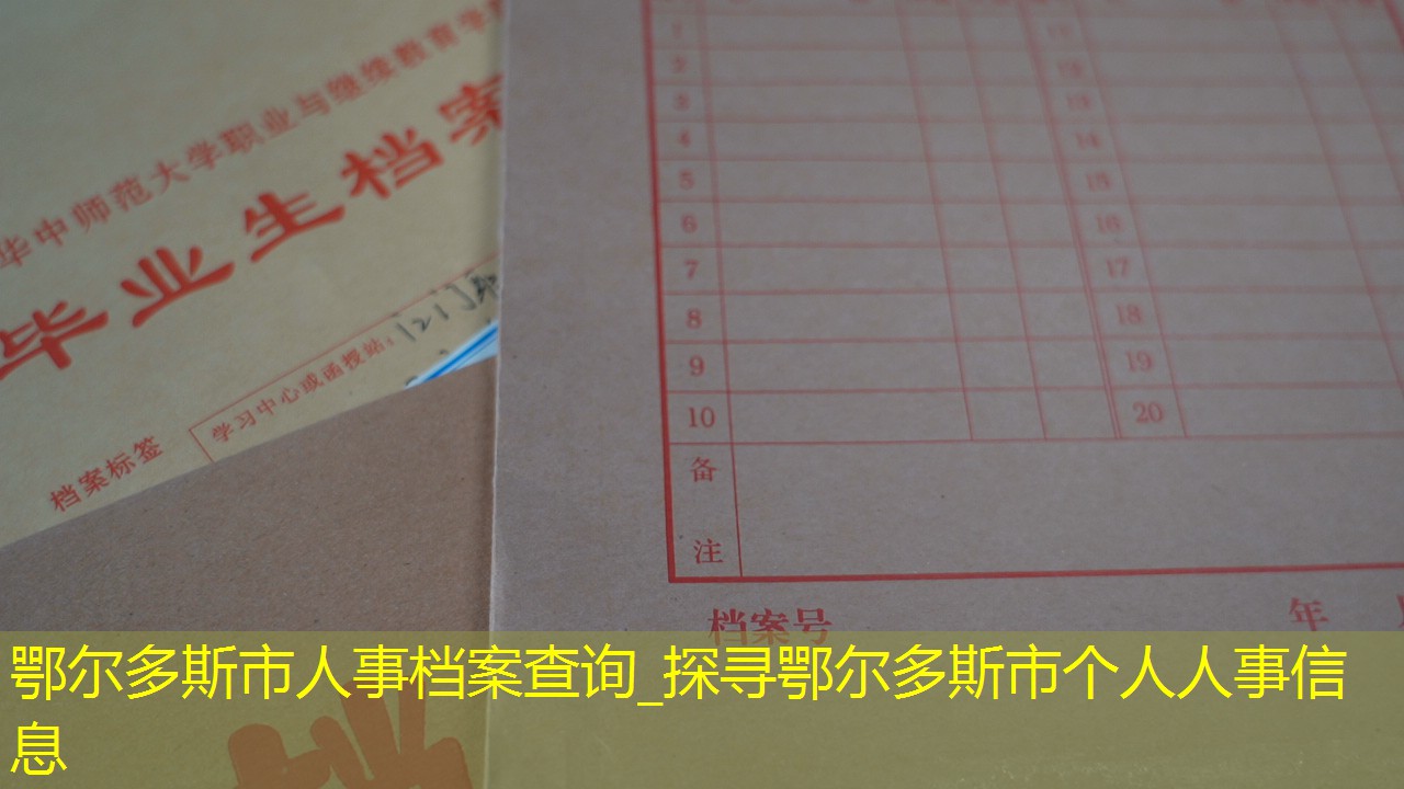 档案查询