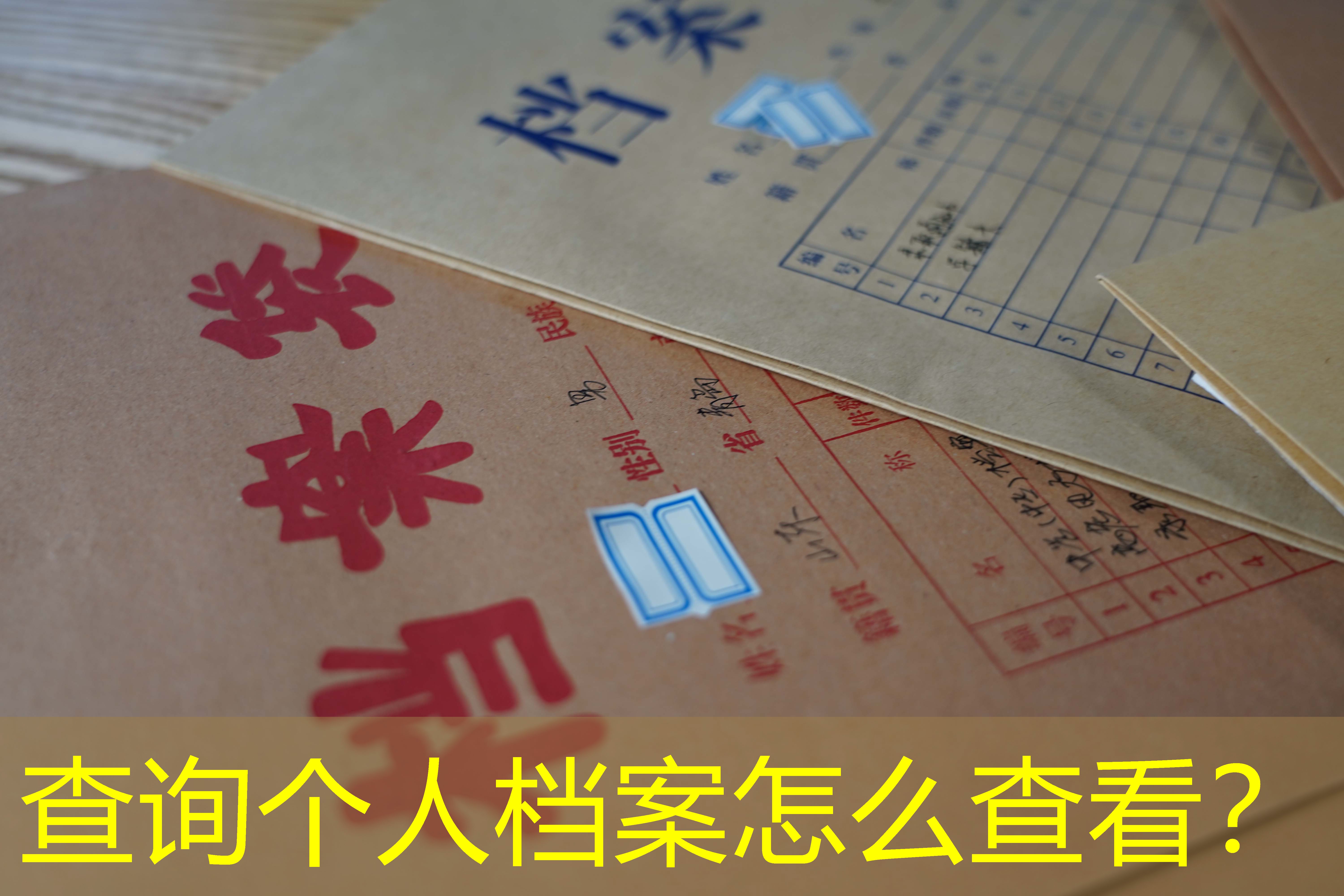 档案查询