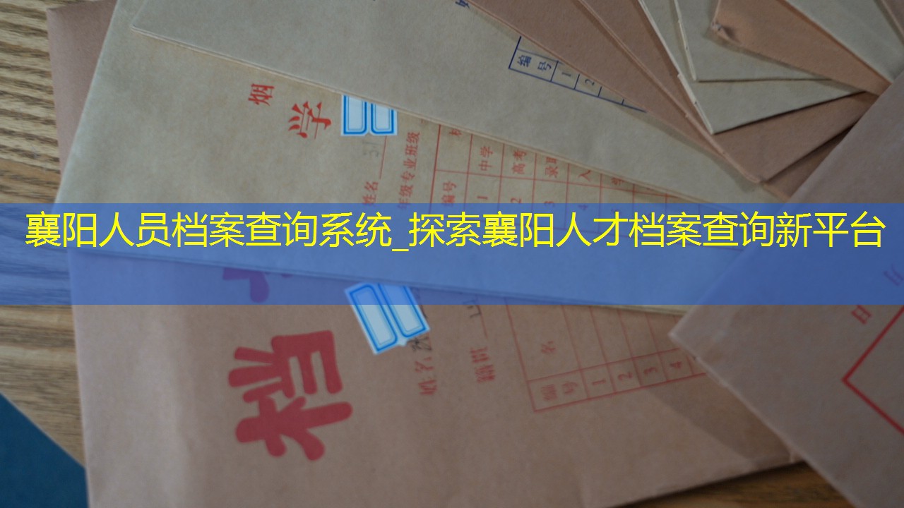 档案查询