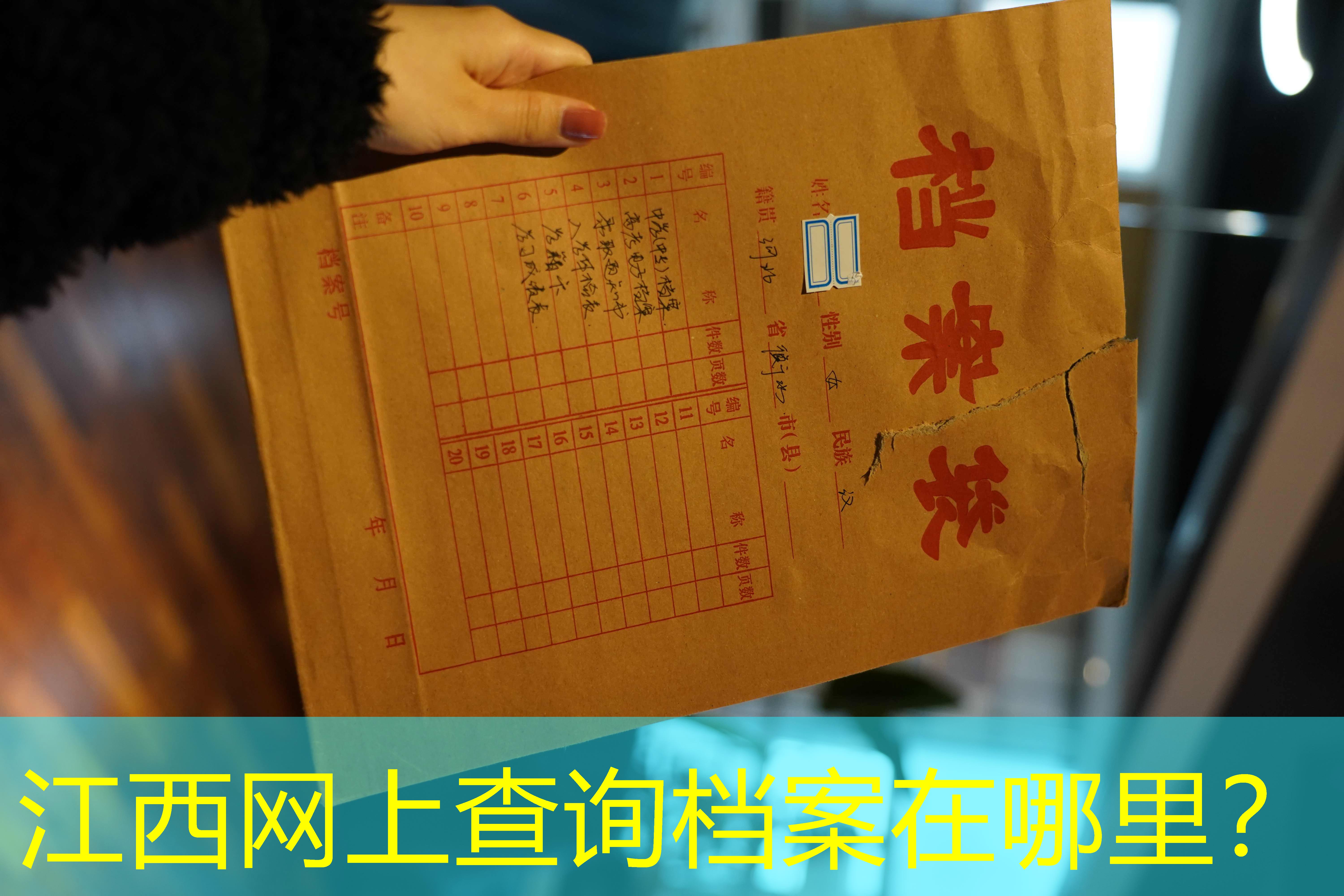 档案查询