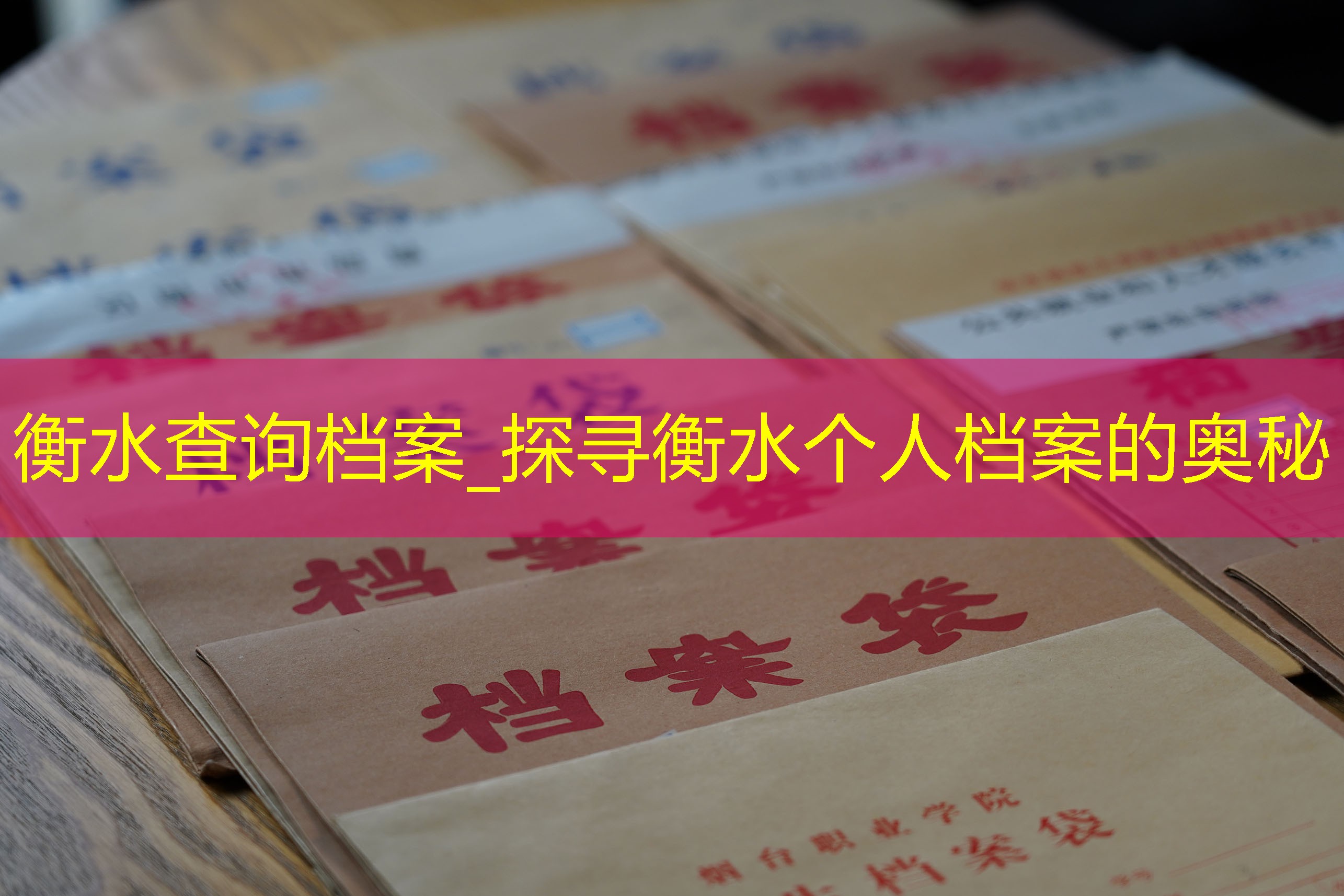 档案查询