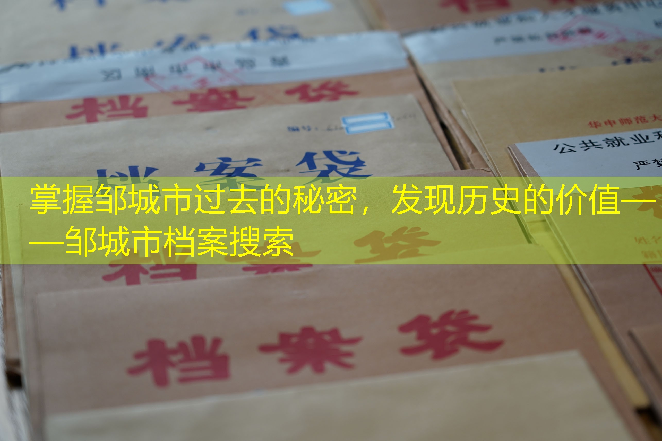 档案查询