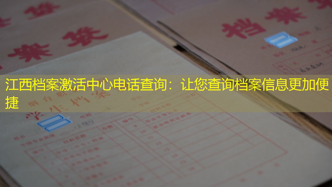 档案查询